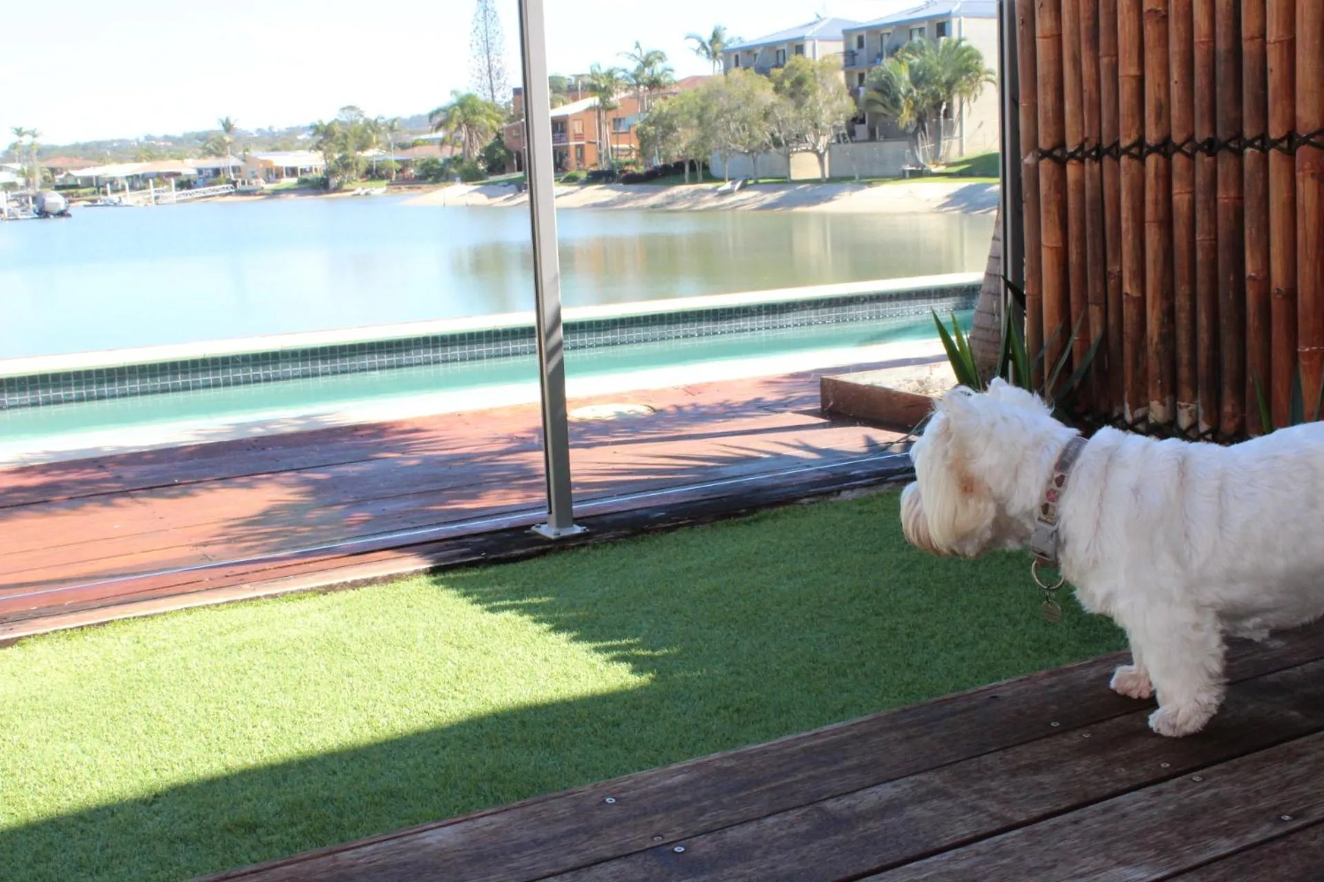 Property building in Saltwater Villas - Pet Friendly Accommodation