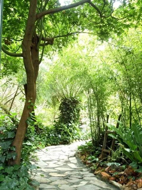 Garden in Aldgate Valley Bed and Breakfast