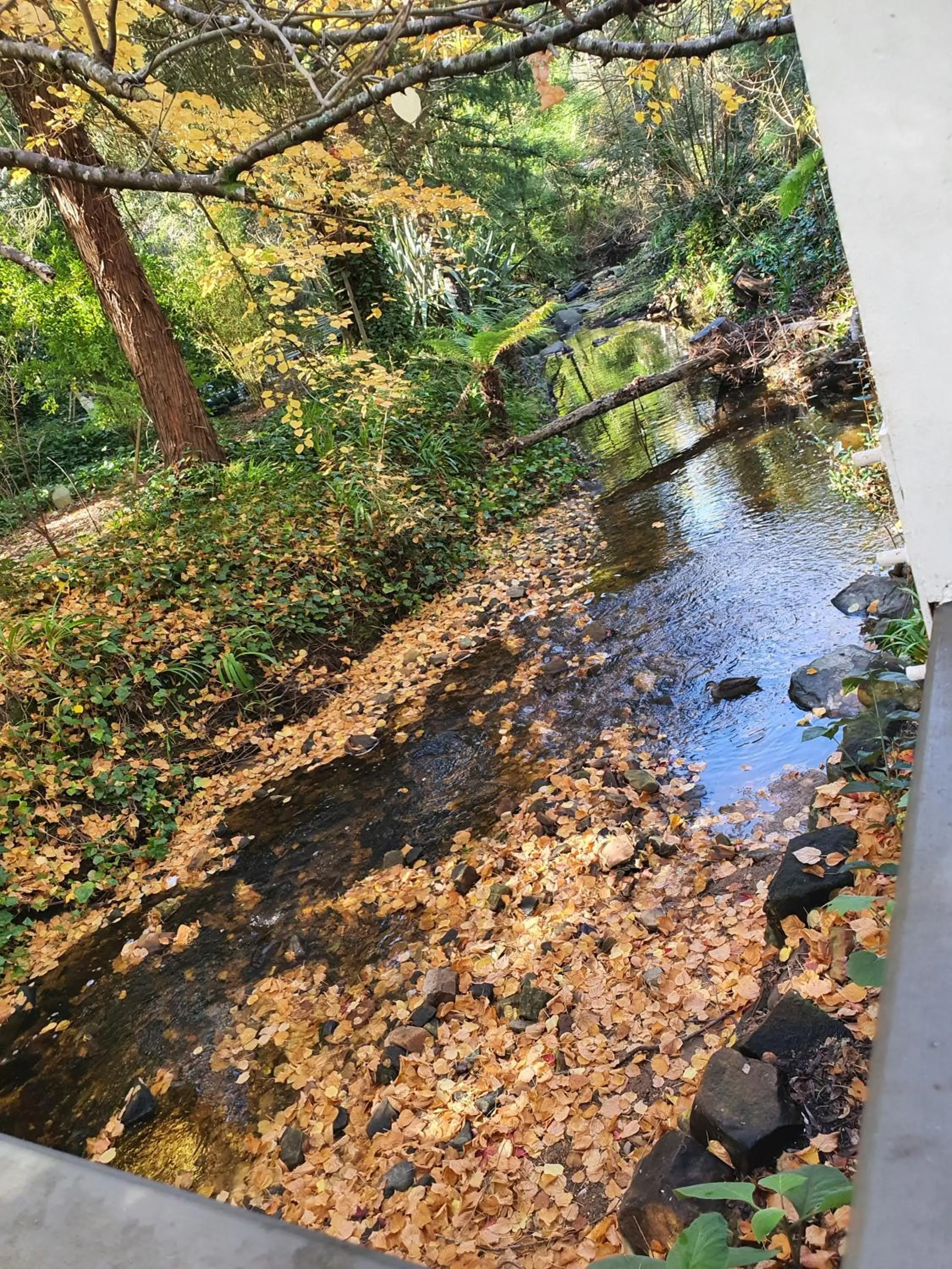 Aldgate Valley Bed and Breakfast