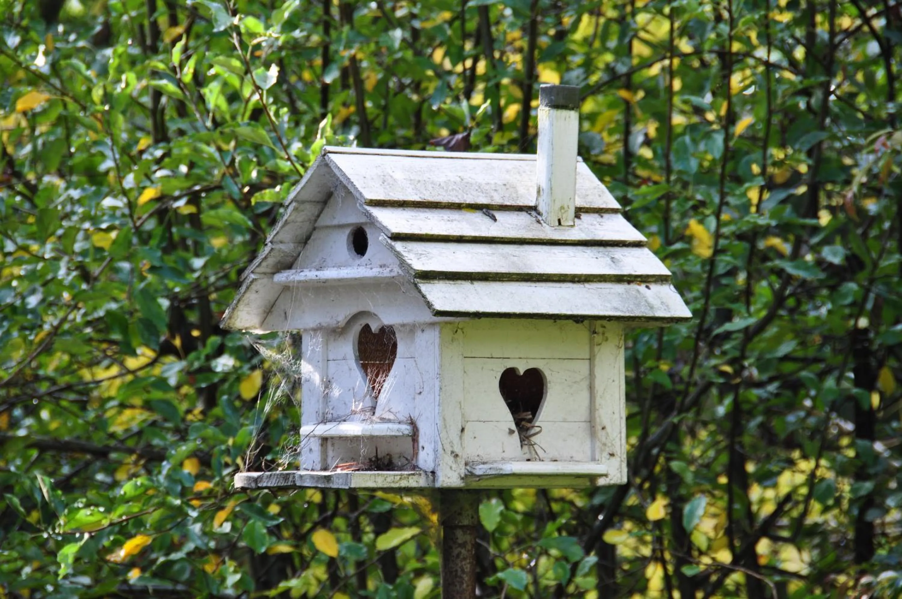 Aldgate Valley Bed and Breakfast