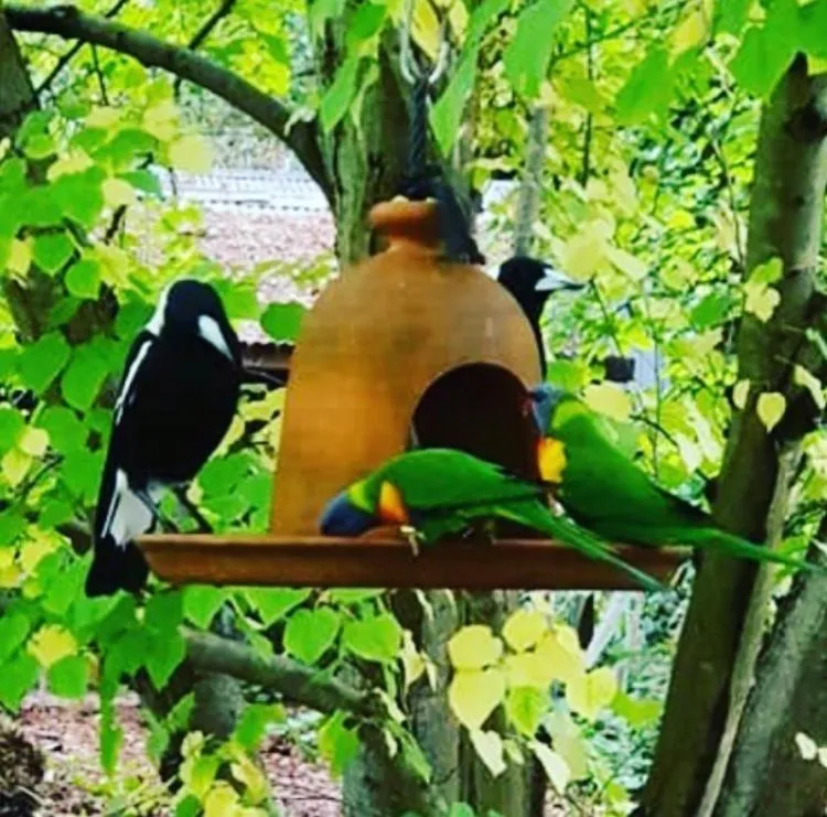 Aldgate Valley Bed and Breakfast