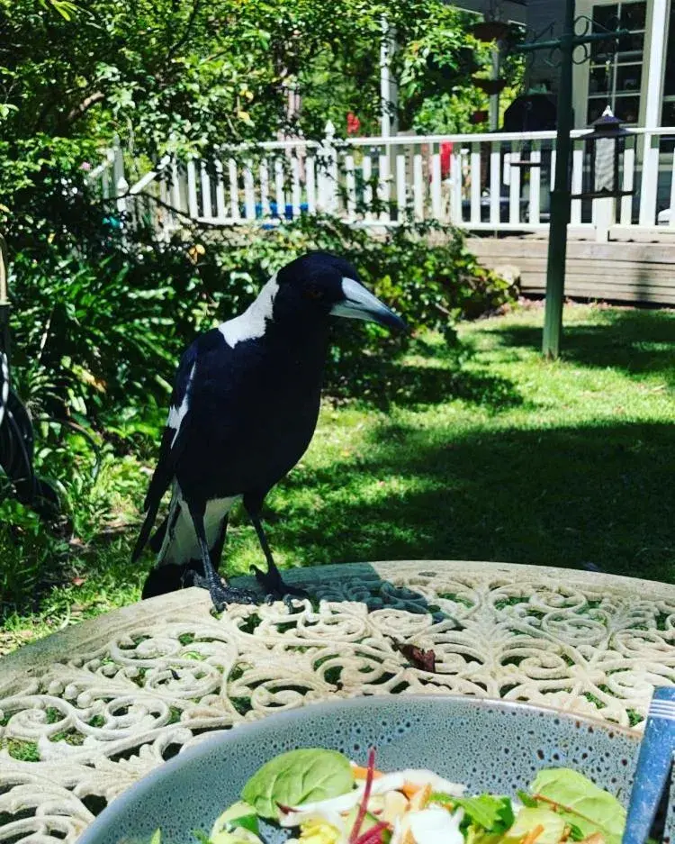 Aldgate Valley Bed and Breakfast Aldgate Valley Bed and Breakfast