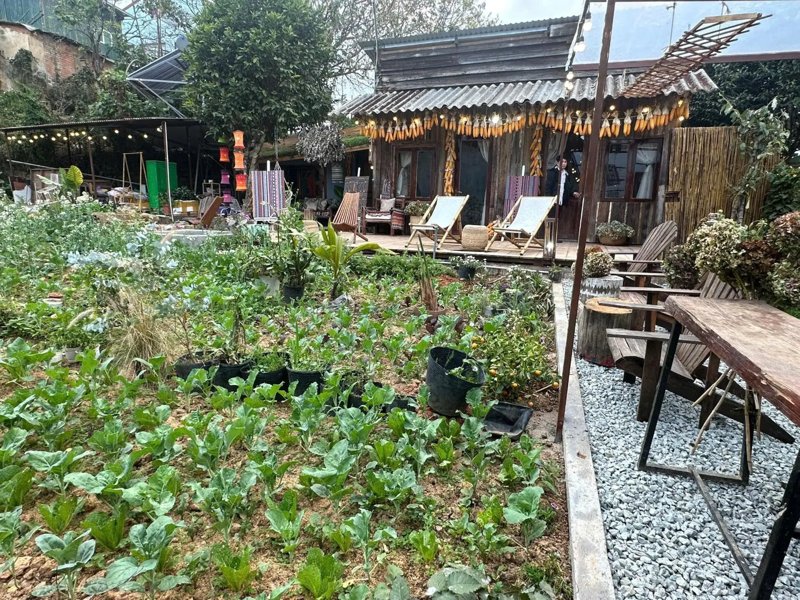 Hotel Làng Kò Hơ Hotel Làng Kò Hơ