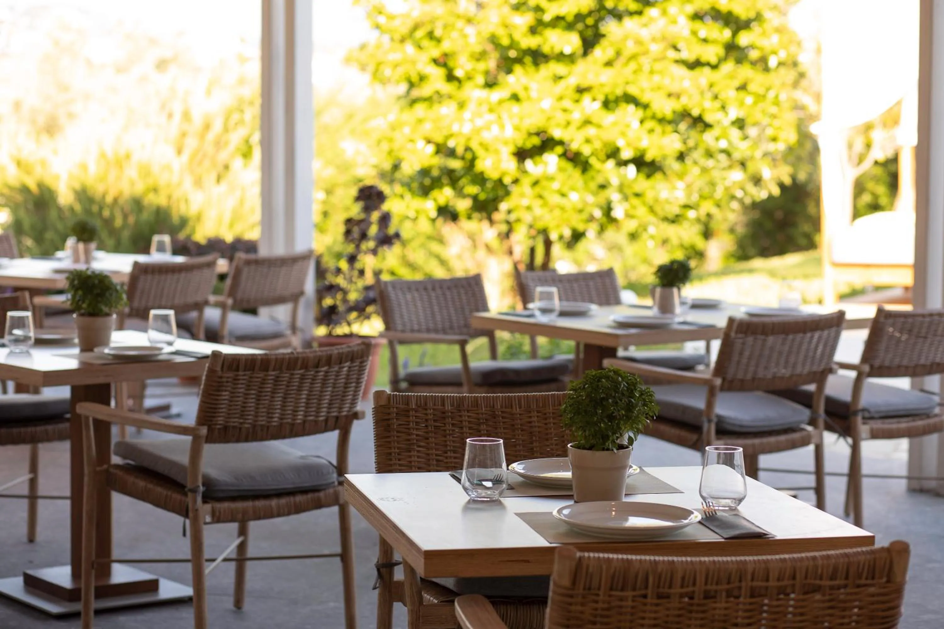 Restaurant/places to eat in Skiathos Avaton Hotel, Philian Hotels & Resorts