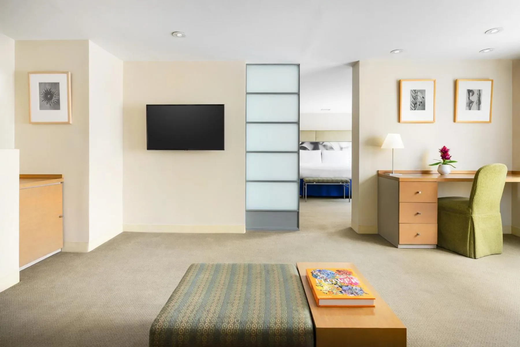 Communal lounge/ TV room in The Shoreham