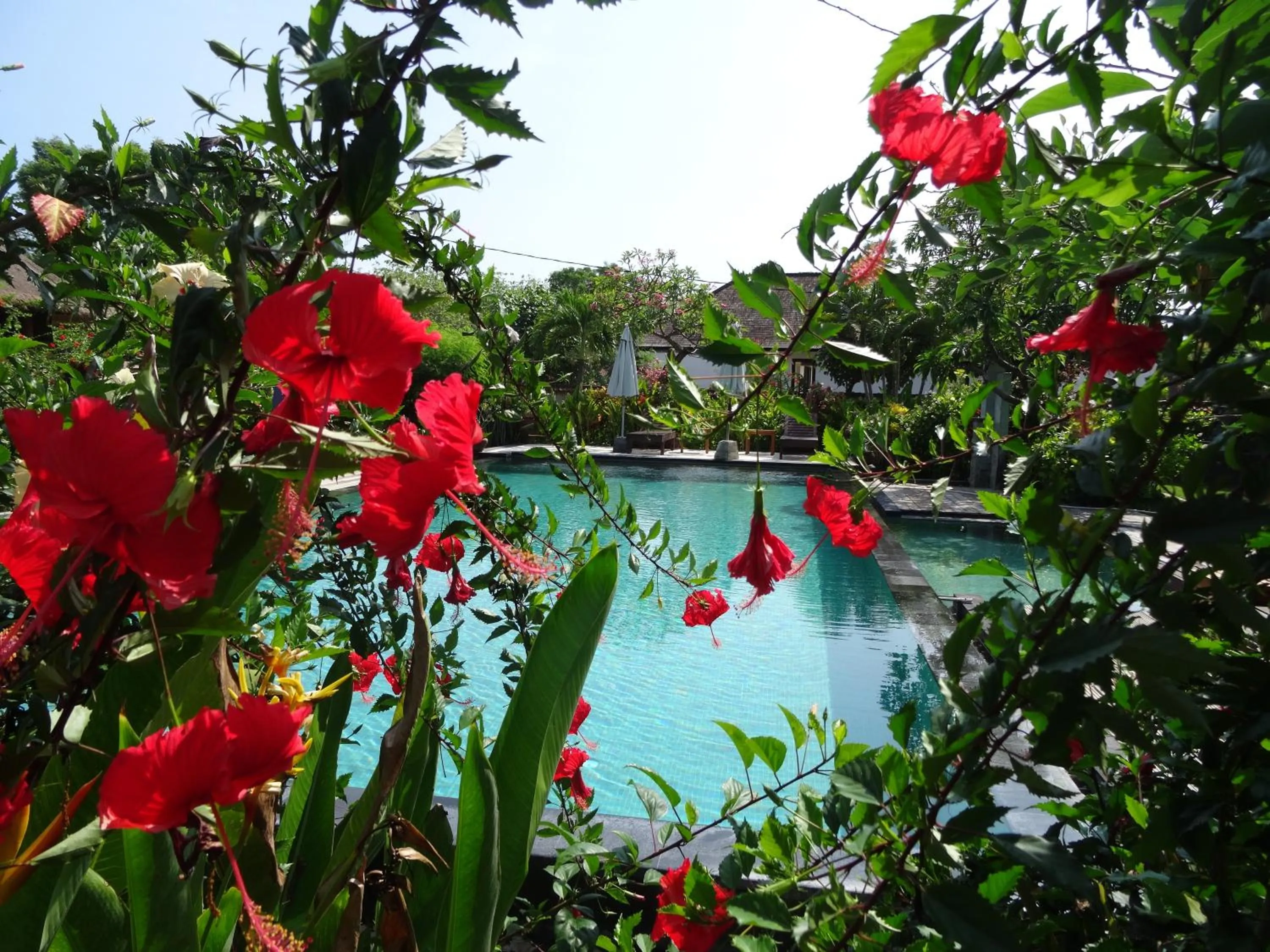 Garden view in Sunia Loka Bungalows & Dive Center