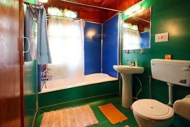 Shower in Houseboat Lily of Nageen