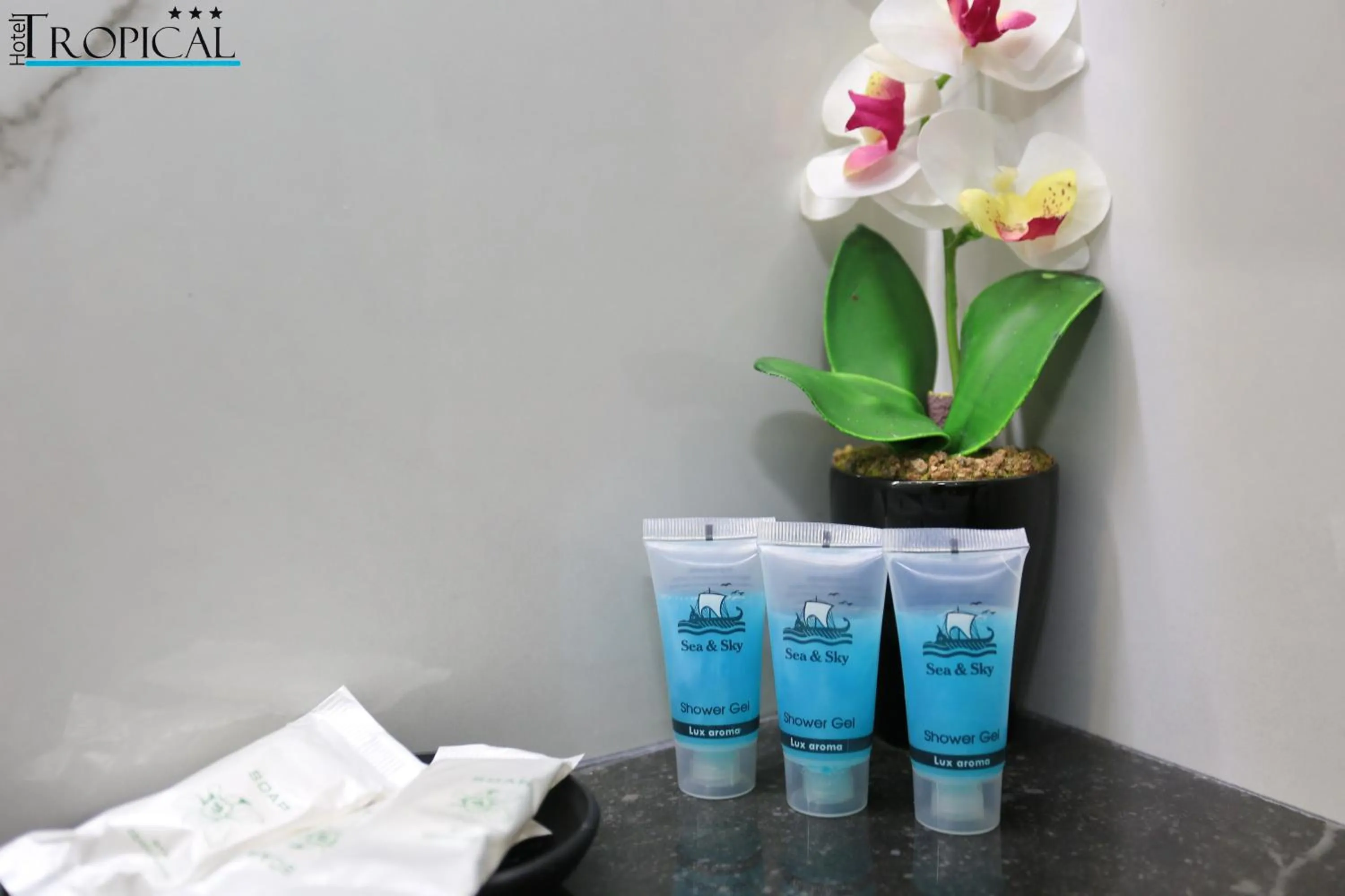 Bathroom in Tropical