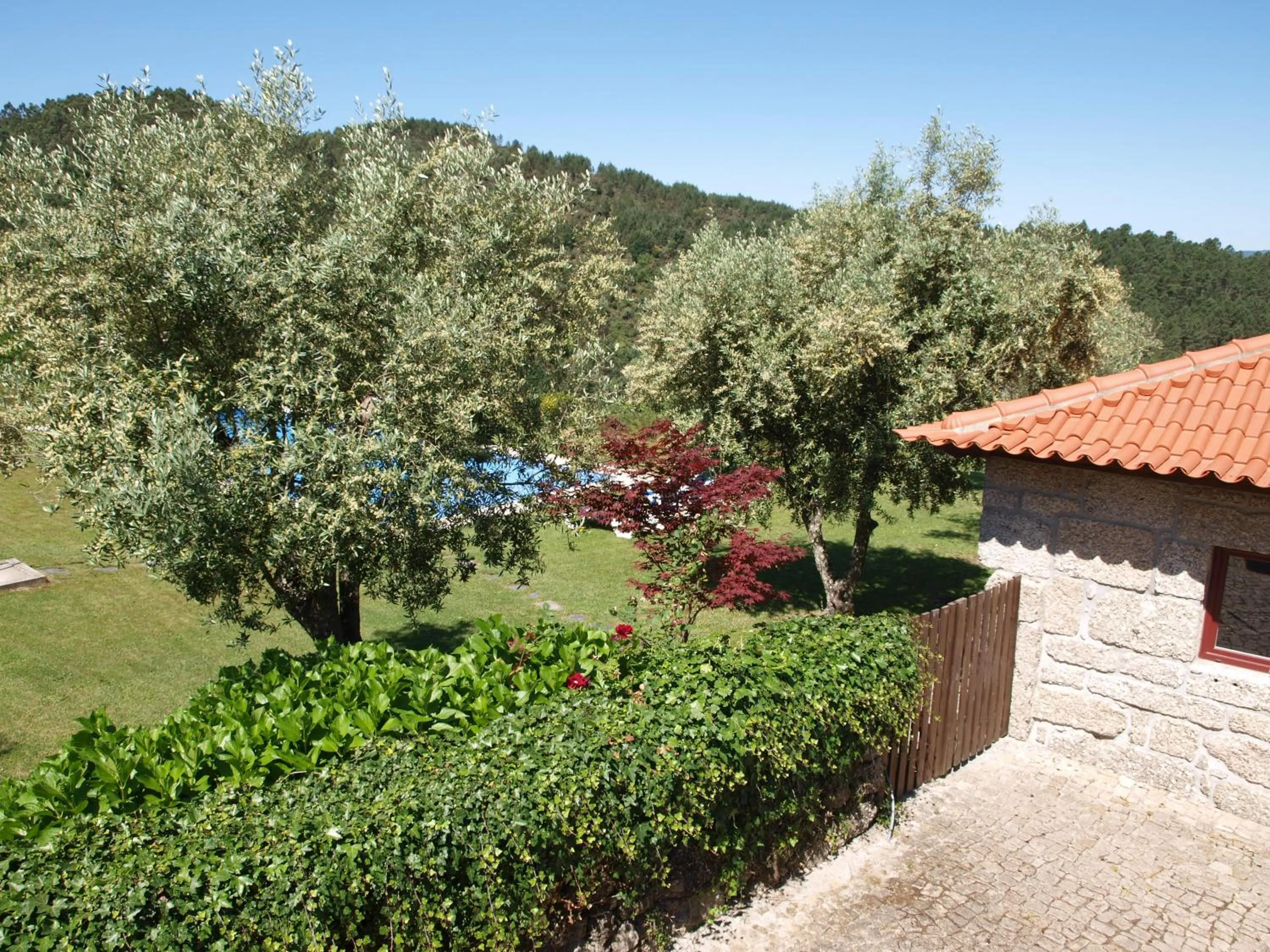 Day in Quinta da Pousadela - Agroturismo