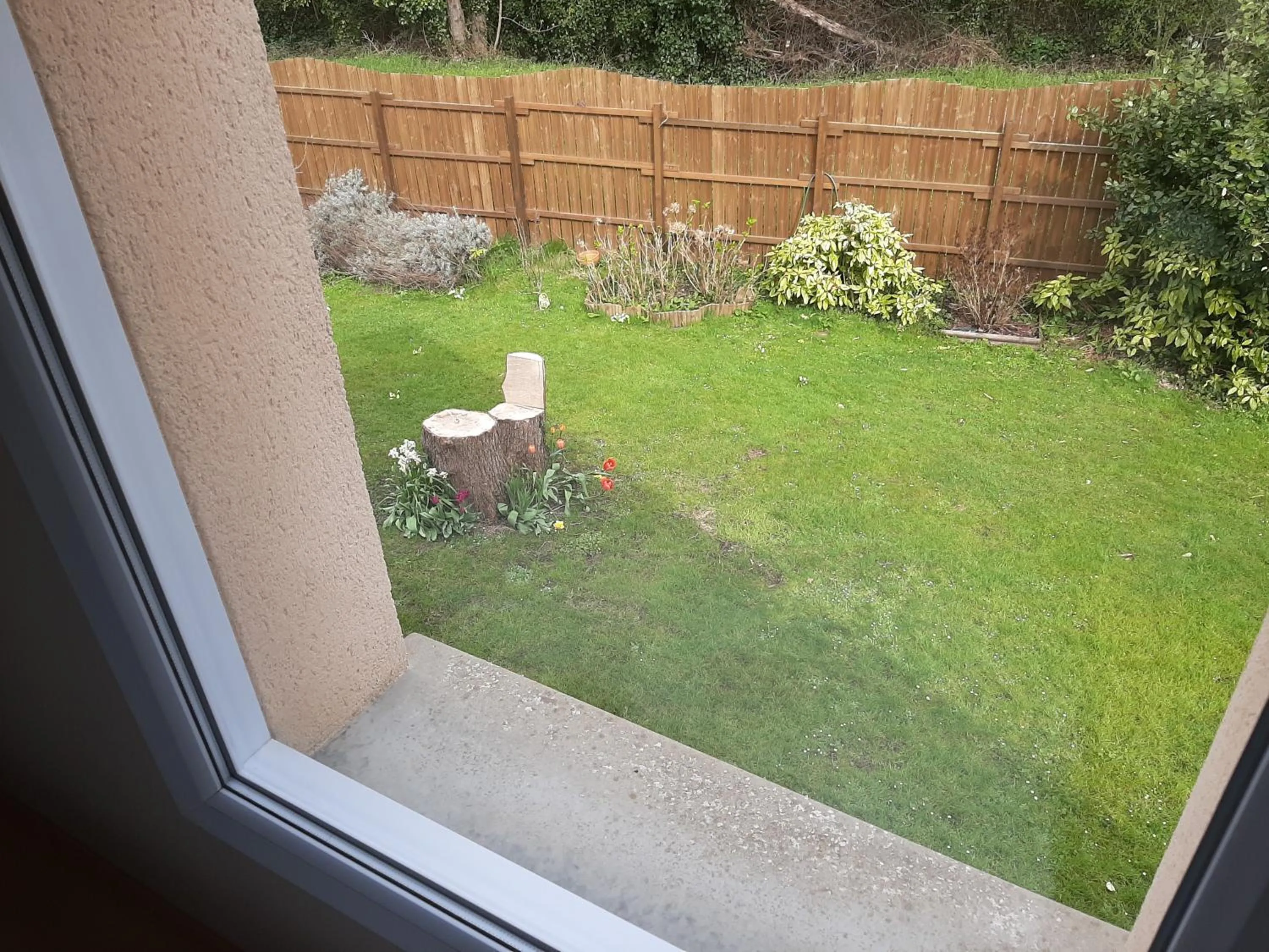 Spring in Chez Blandine & Pol