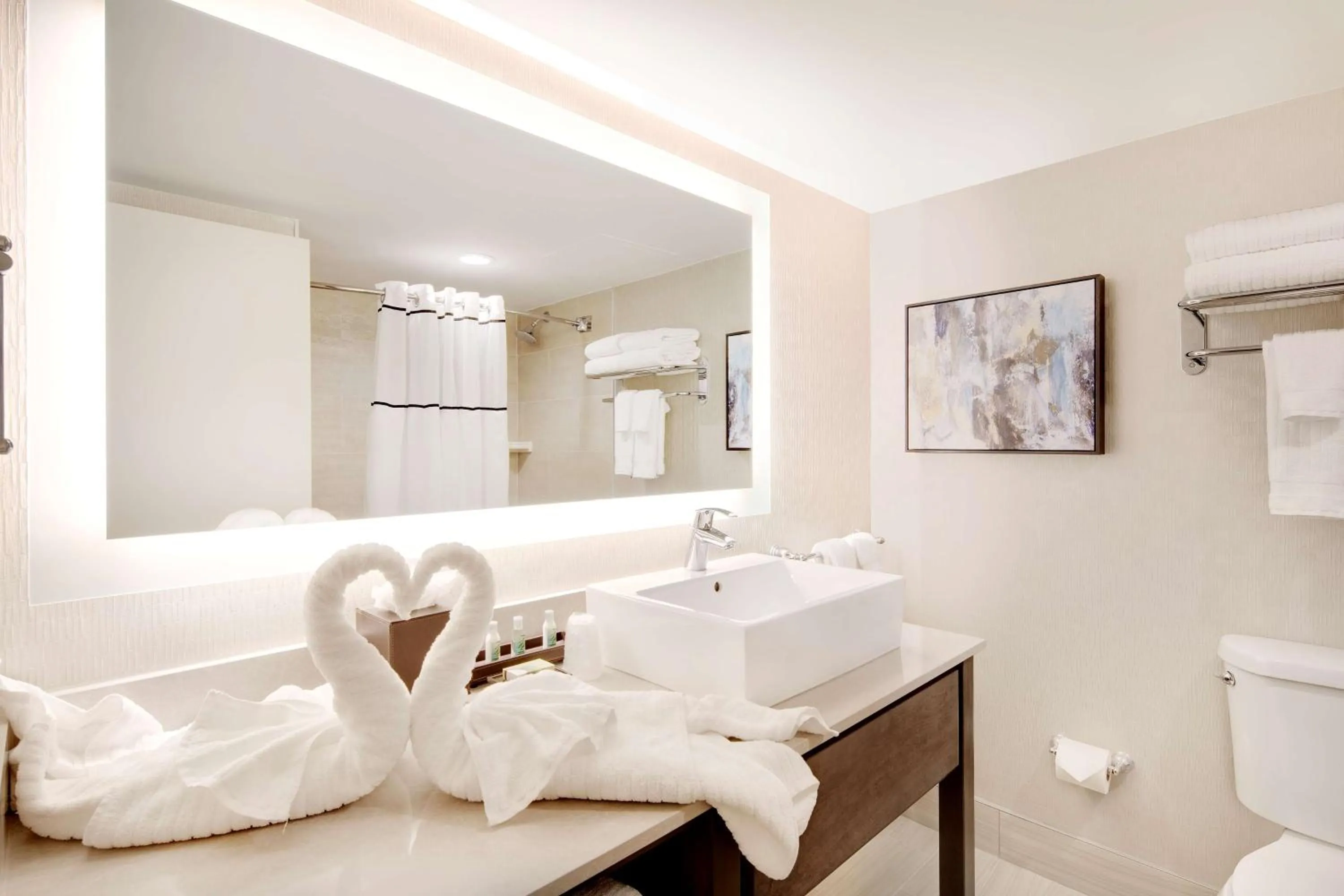 Bathroom in The Florida Hotel & Conference Center in the Florida Mall