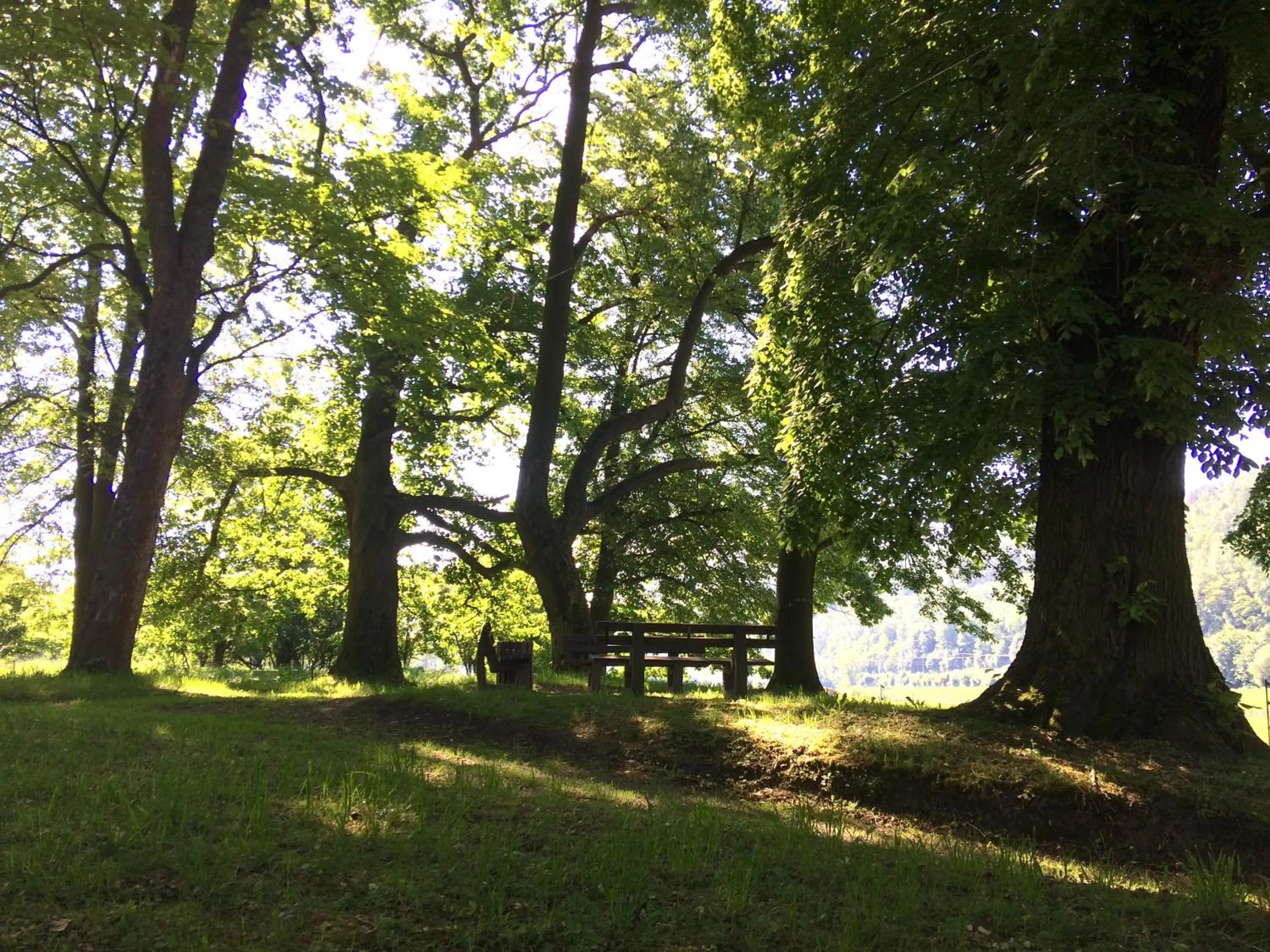 Natural landscape in Schloss Prossen