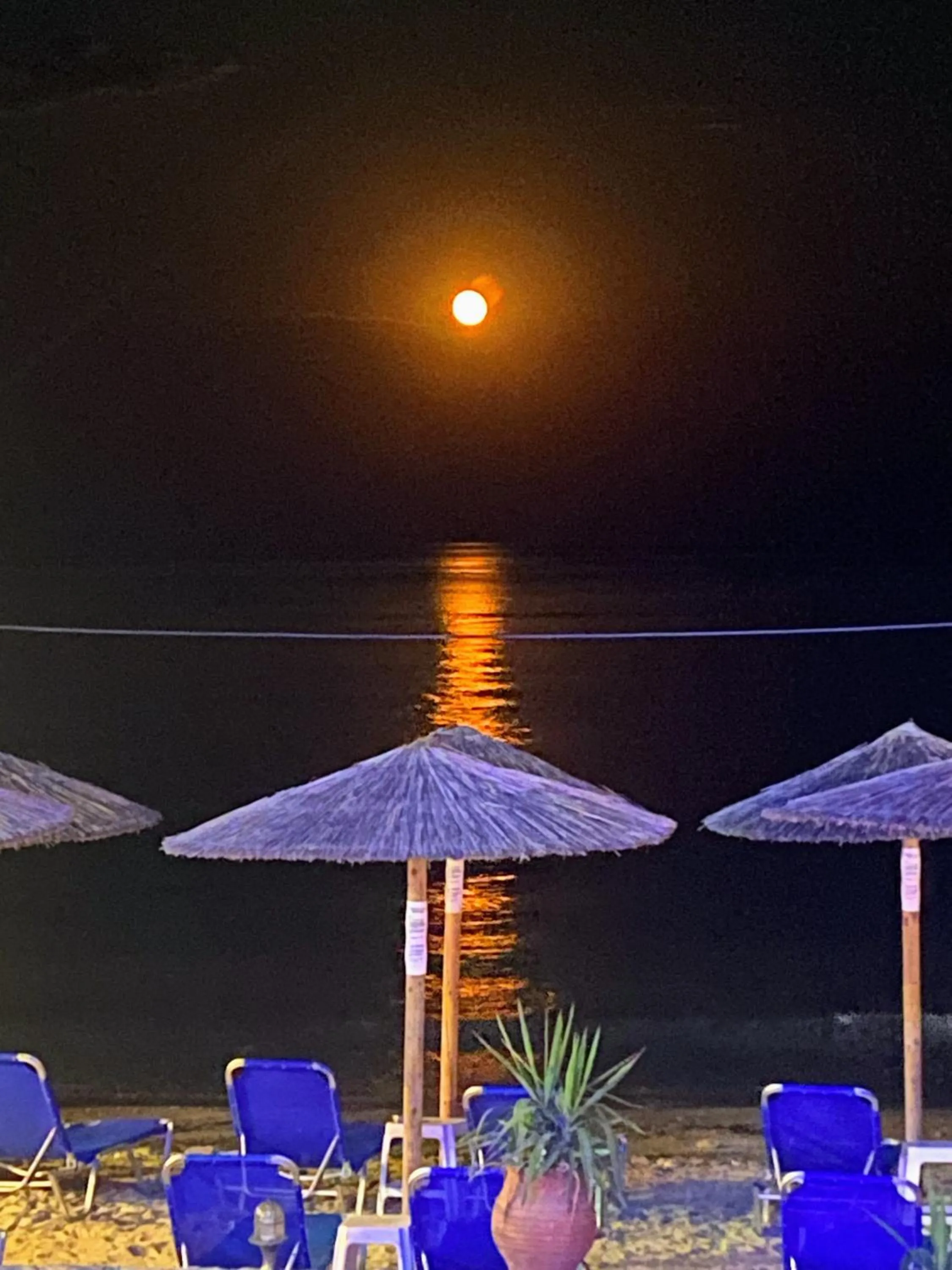 Nightclub / DJ in Blue Sea Beach Resort