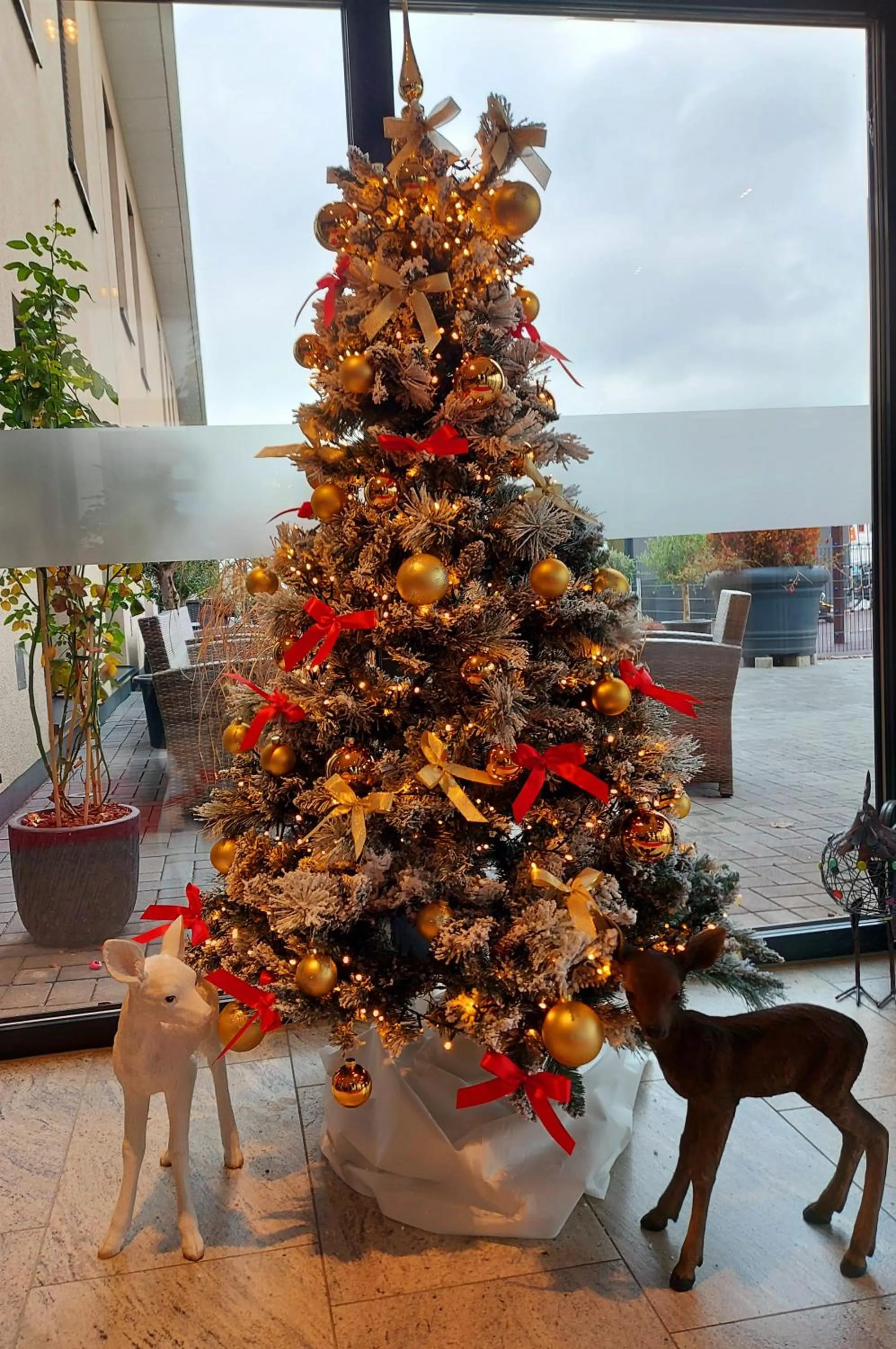 Lobby or reception in Hotel Viktorosa