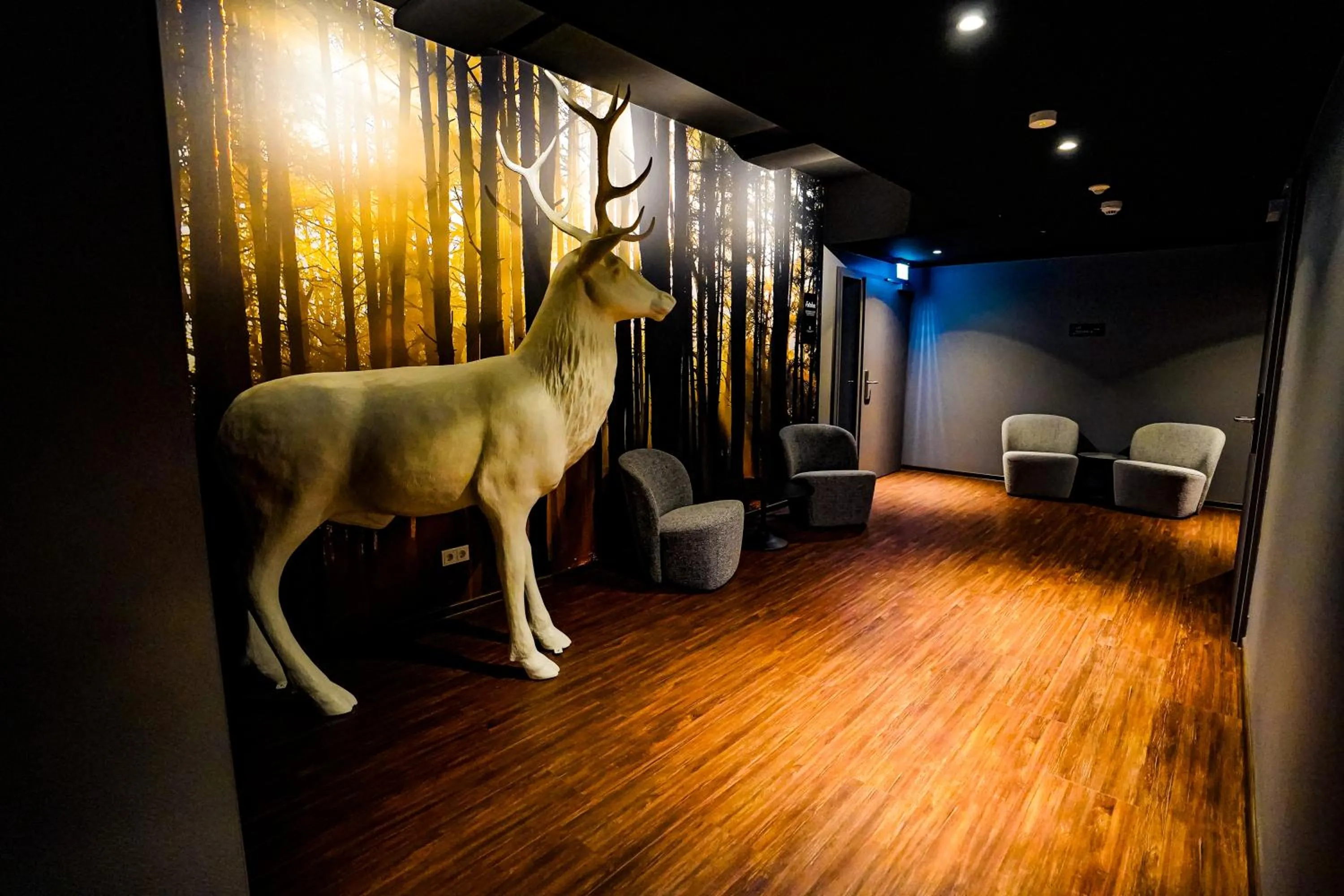 Entertainment in Hotel Viktorosa