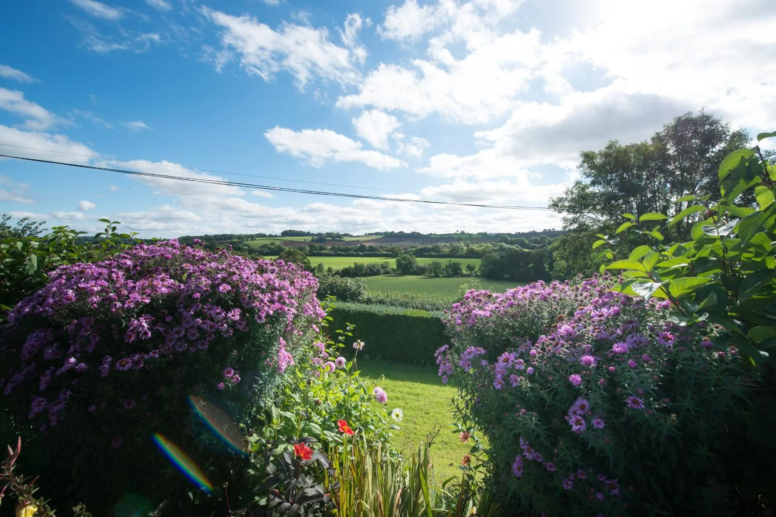 Garden in The Old Dairy at Bishops Barton