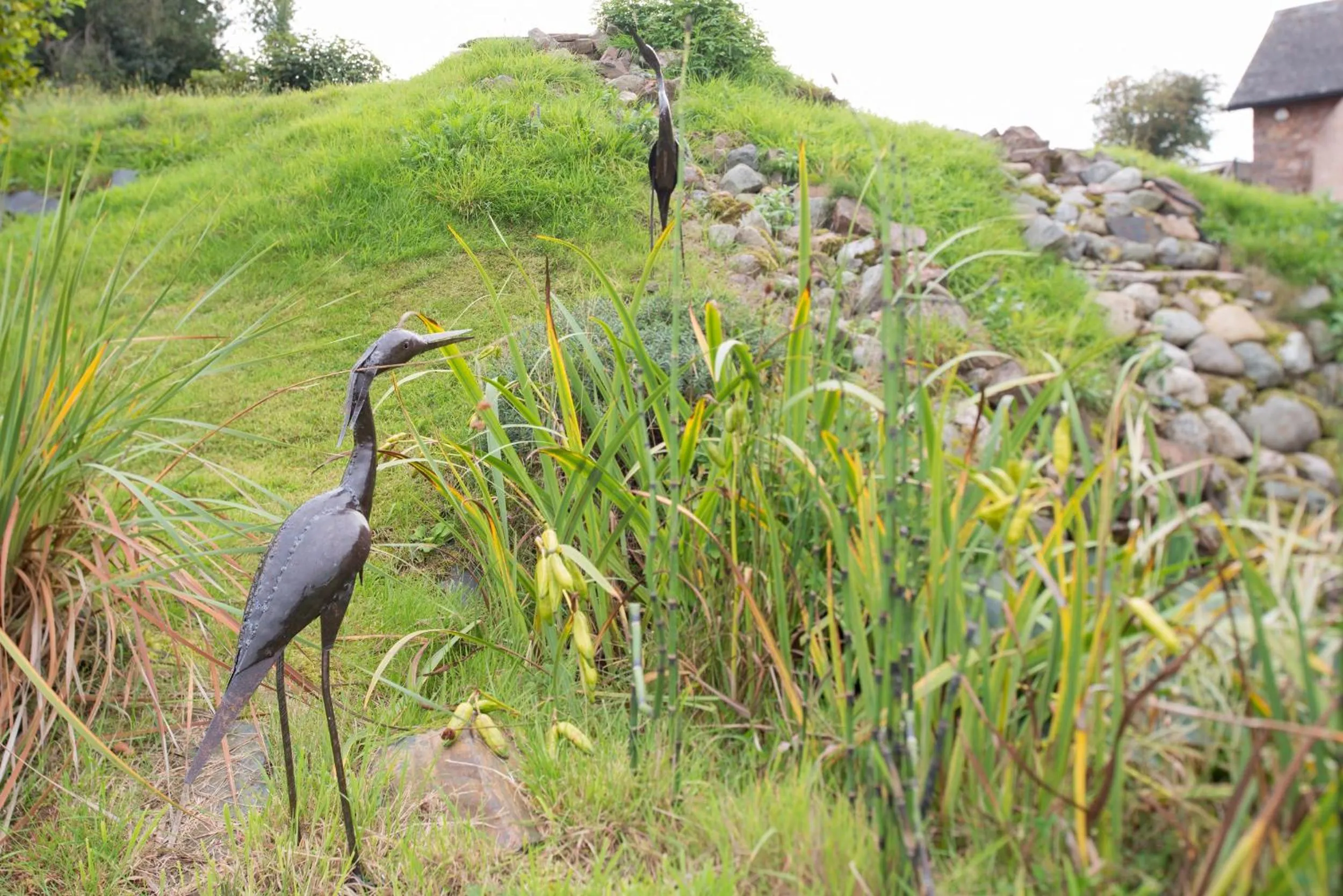 Garden in The Old Dairy at Bishops Barton