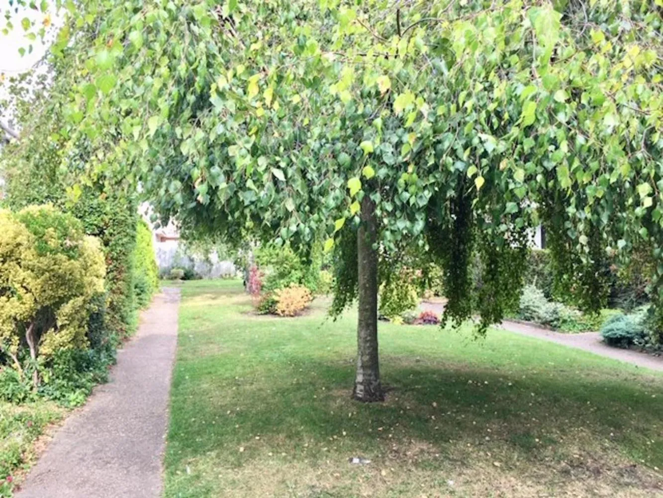 Homely & Cosy 3 Bed Birch Close House with Free Parking, Garden & Sleeps 8
