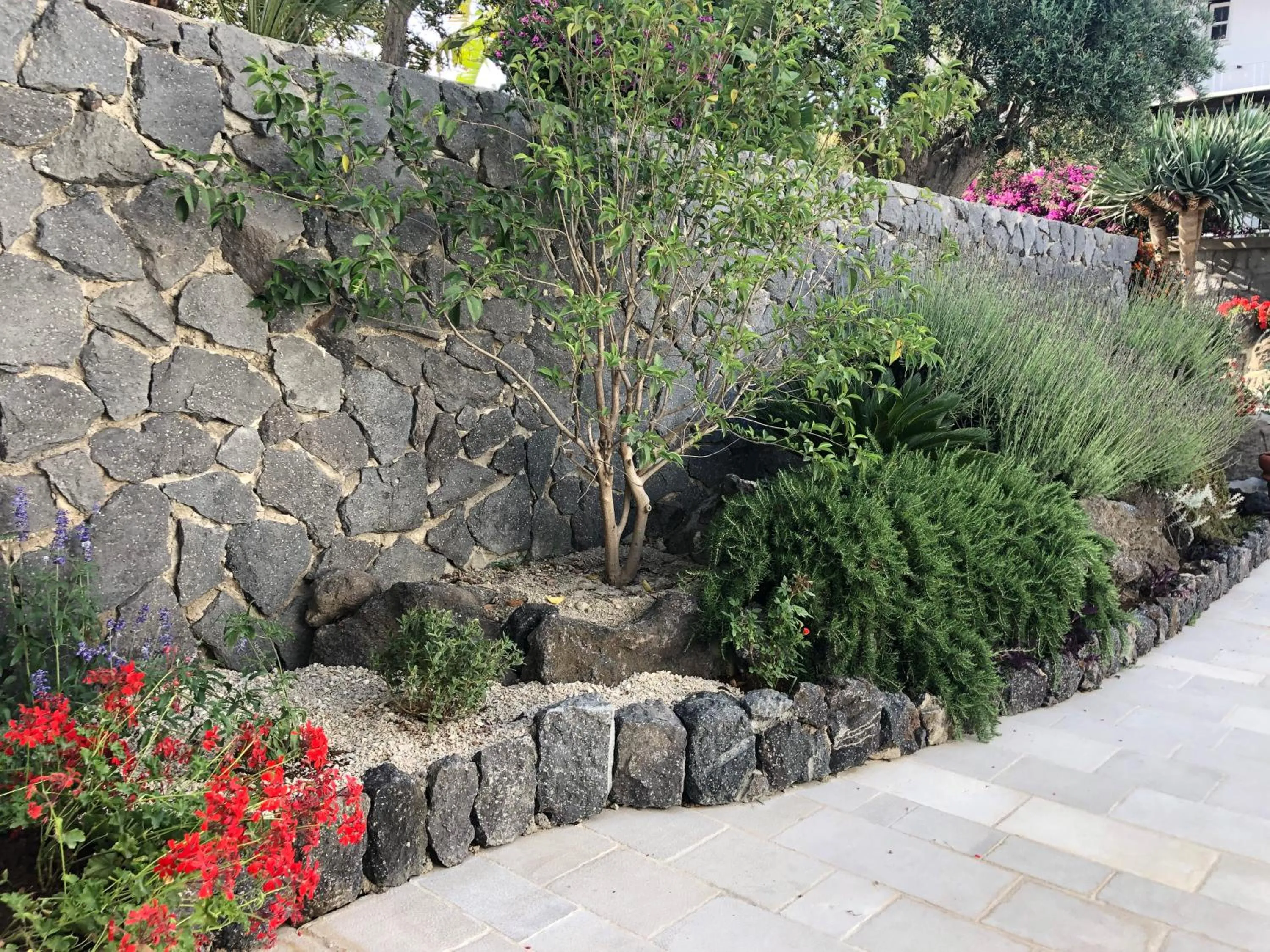 Property building in Sorgeto Garden