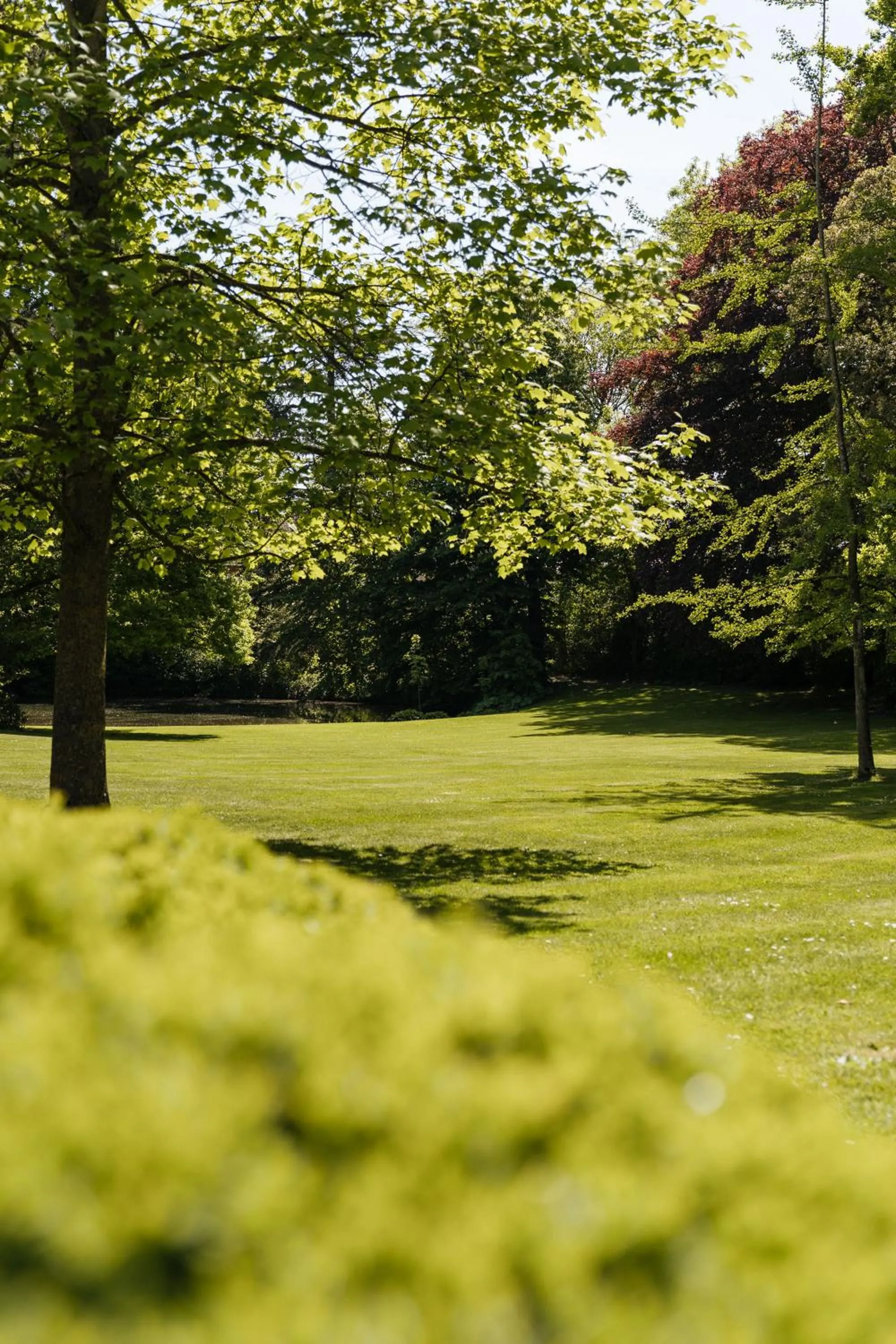 Garden in Boutique Hotel Ter Wallen