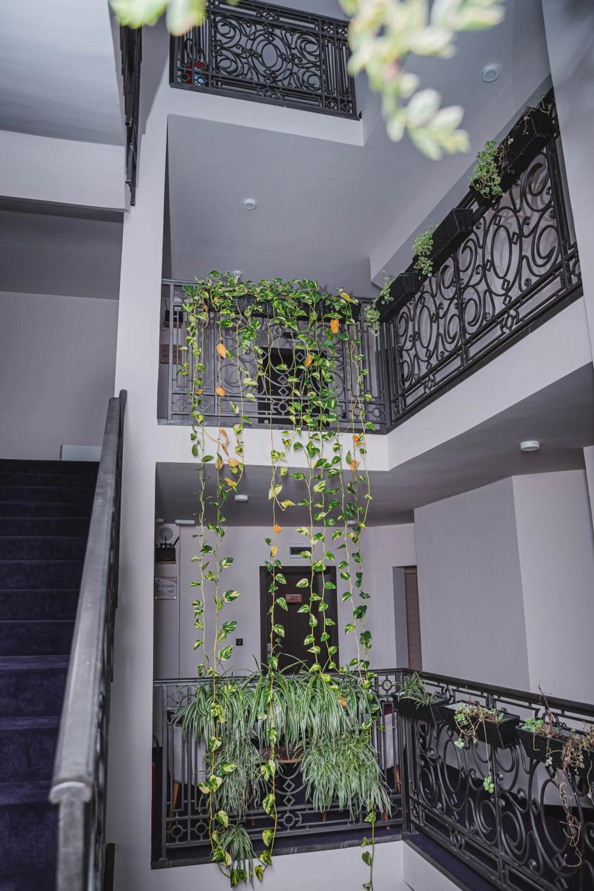 Property building in Hotel Aloha