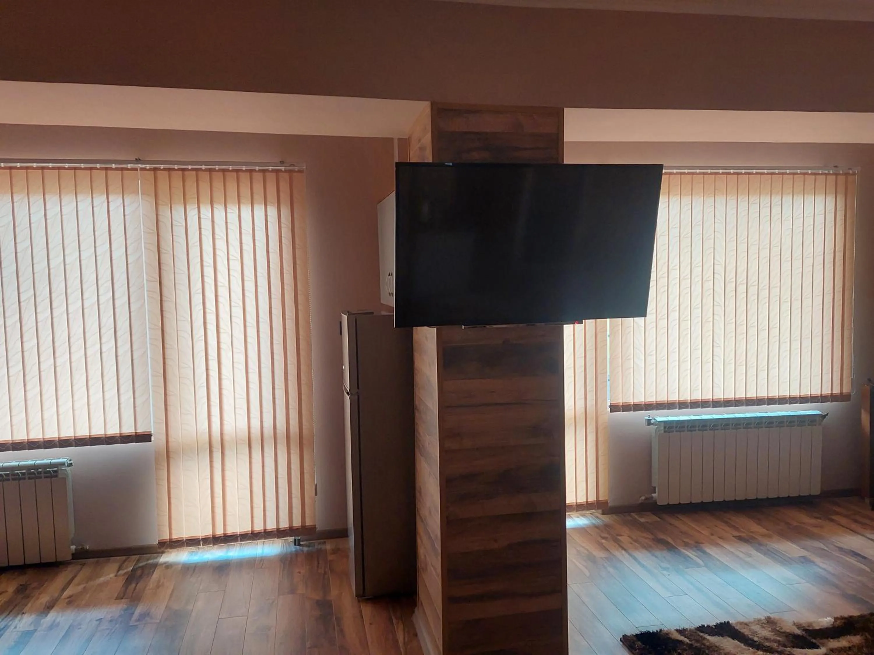TV and multimedia in Family Hotel Gotse Delchev