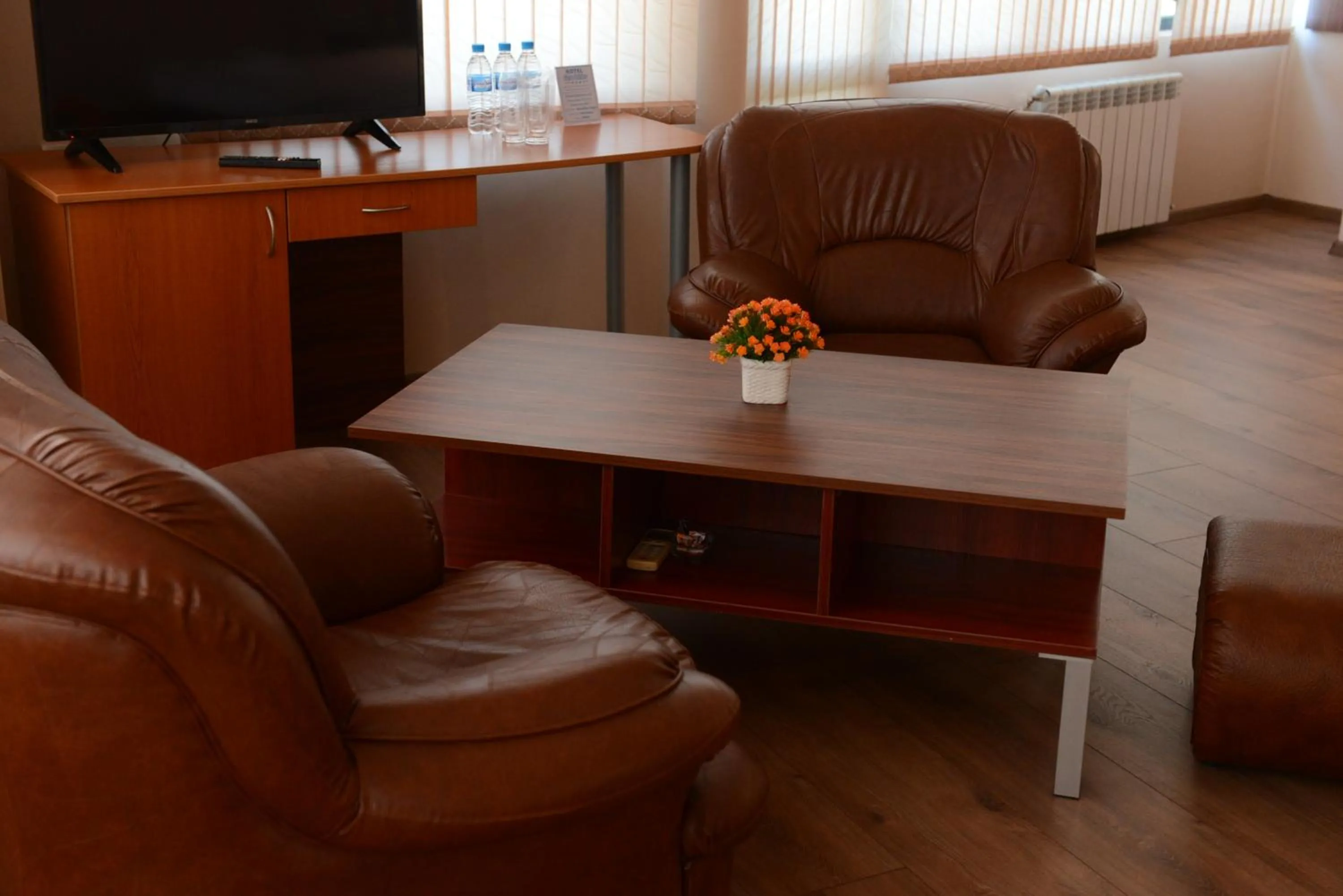 Seating area in Family Hotel Gotse Delchev