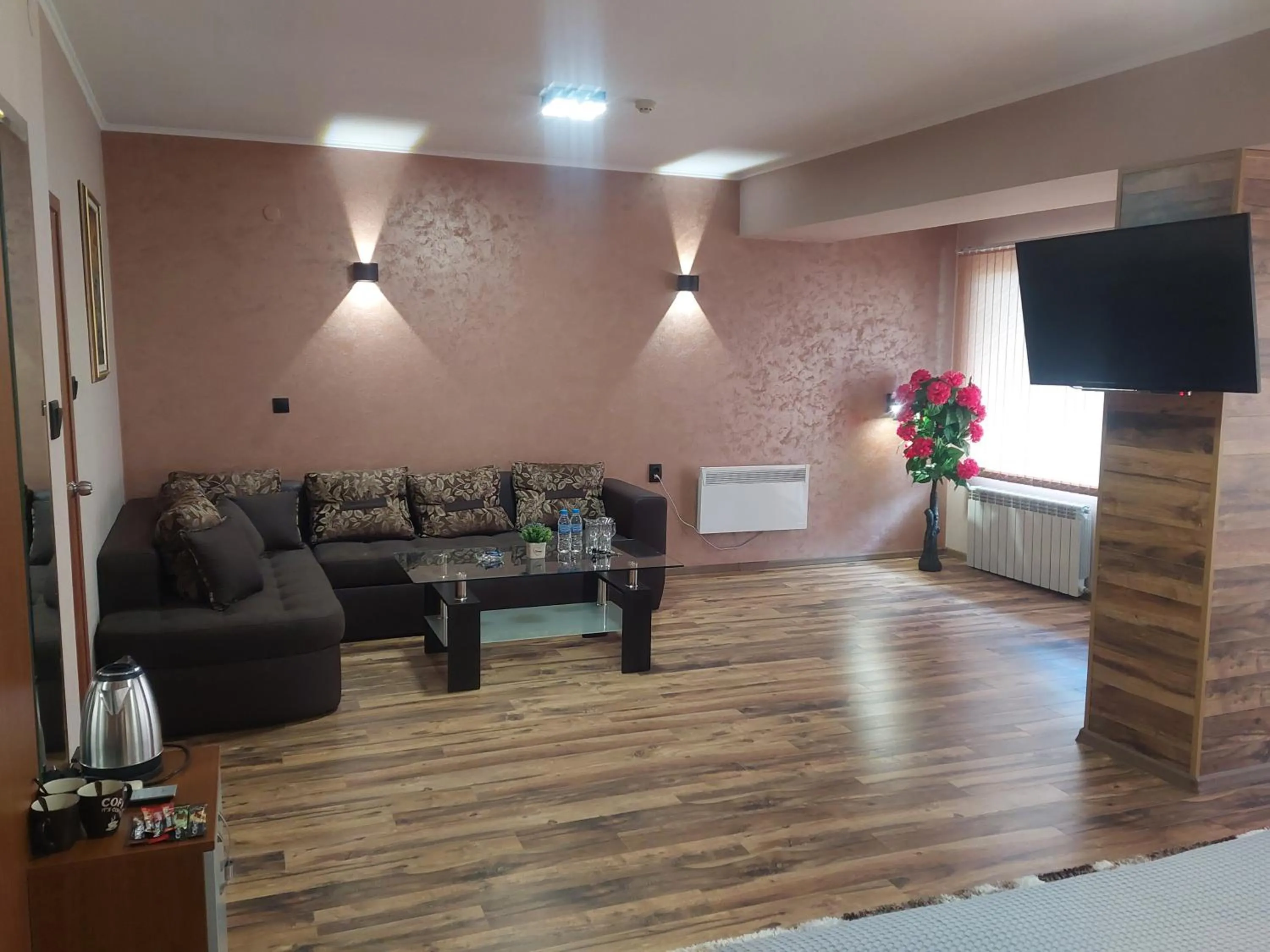 TV and multimedia in Family Hotel Gotse Delchev