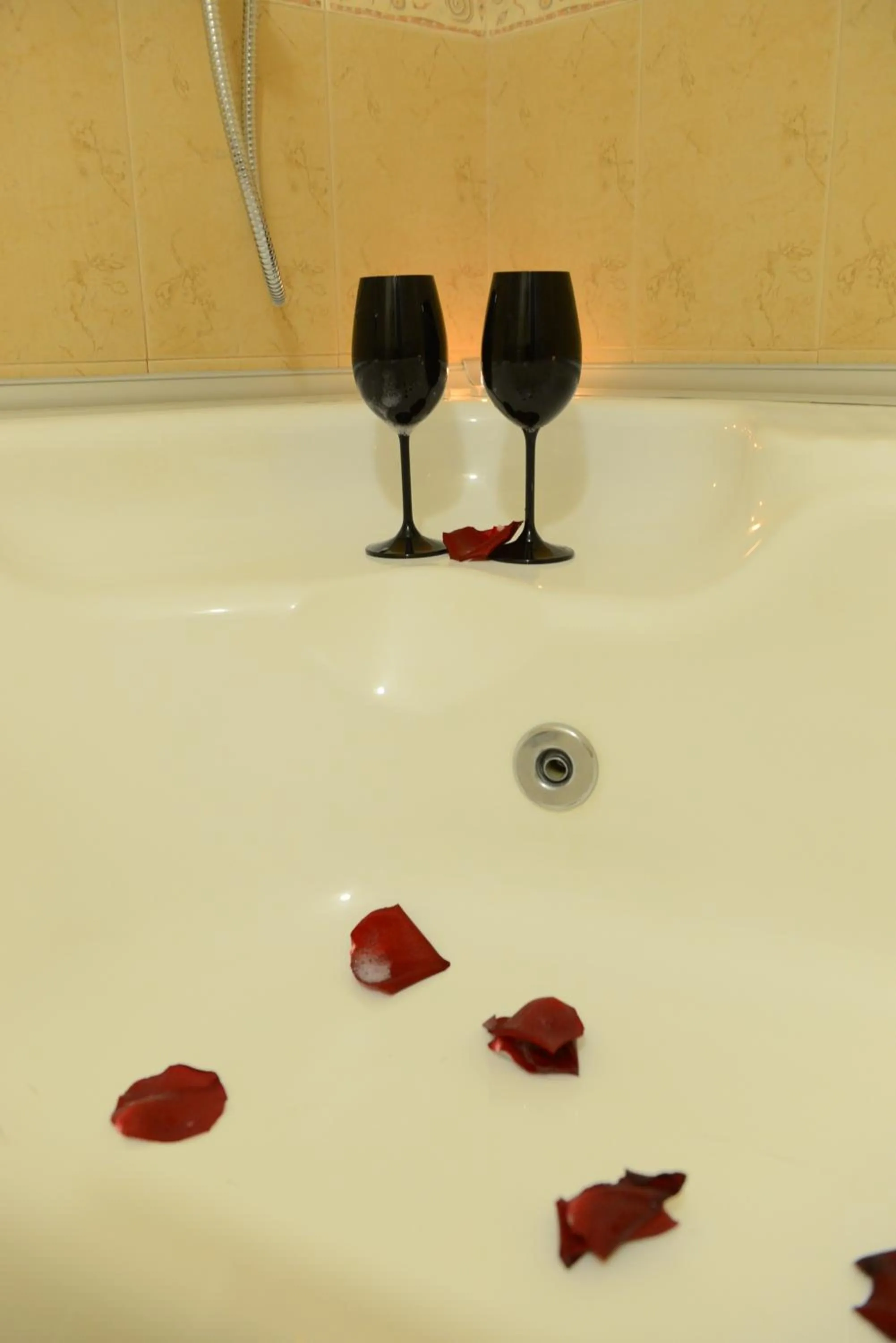 Spa and wellness centre/facilities in Family Hotel Gotse Delchev