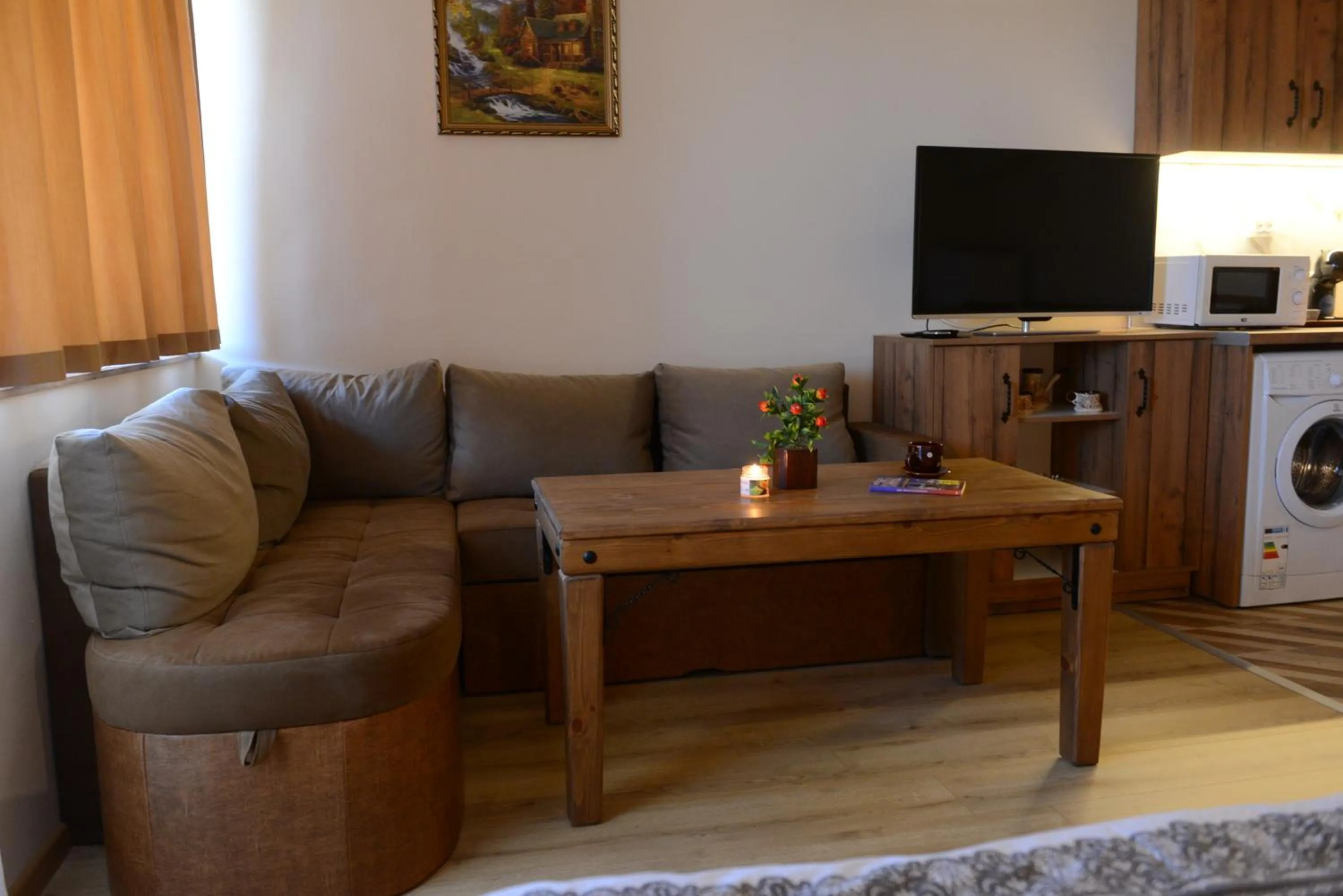 TV and multimedia in Family Hotel Gotse Delchev