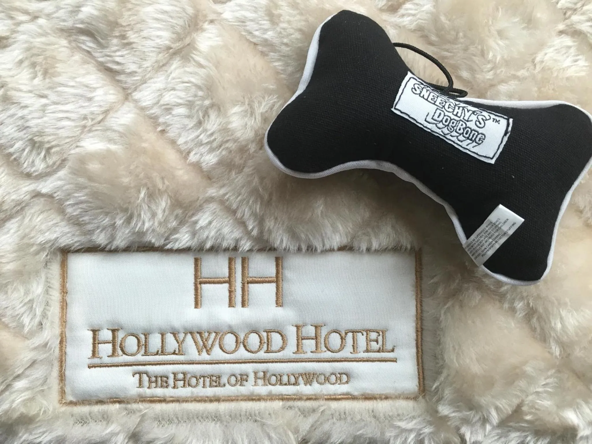 Animals in Hollywood Hotel
