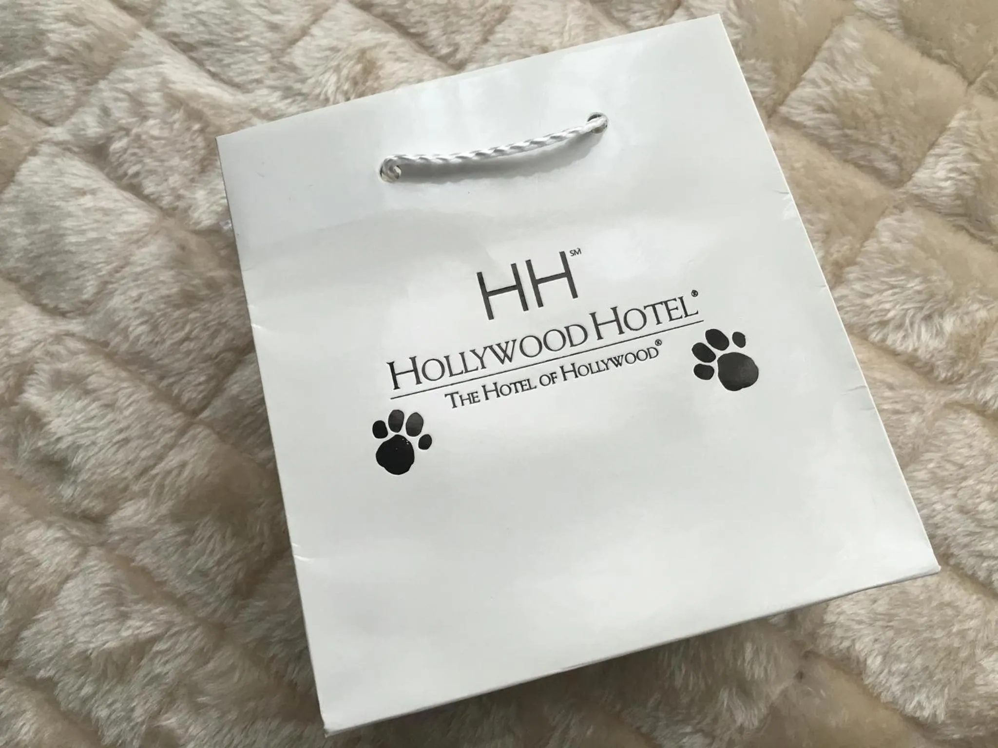 Animals in Hollywood Hotel