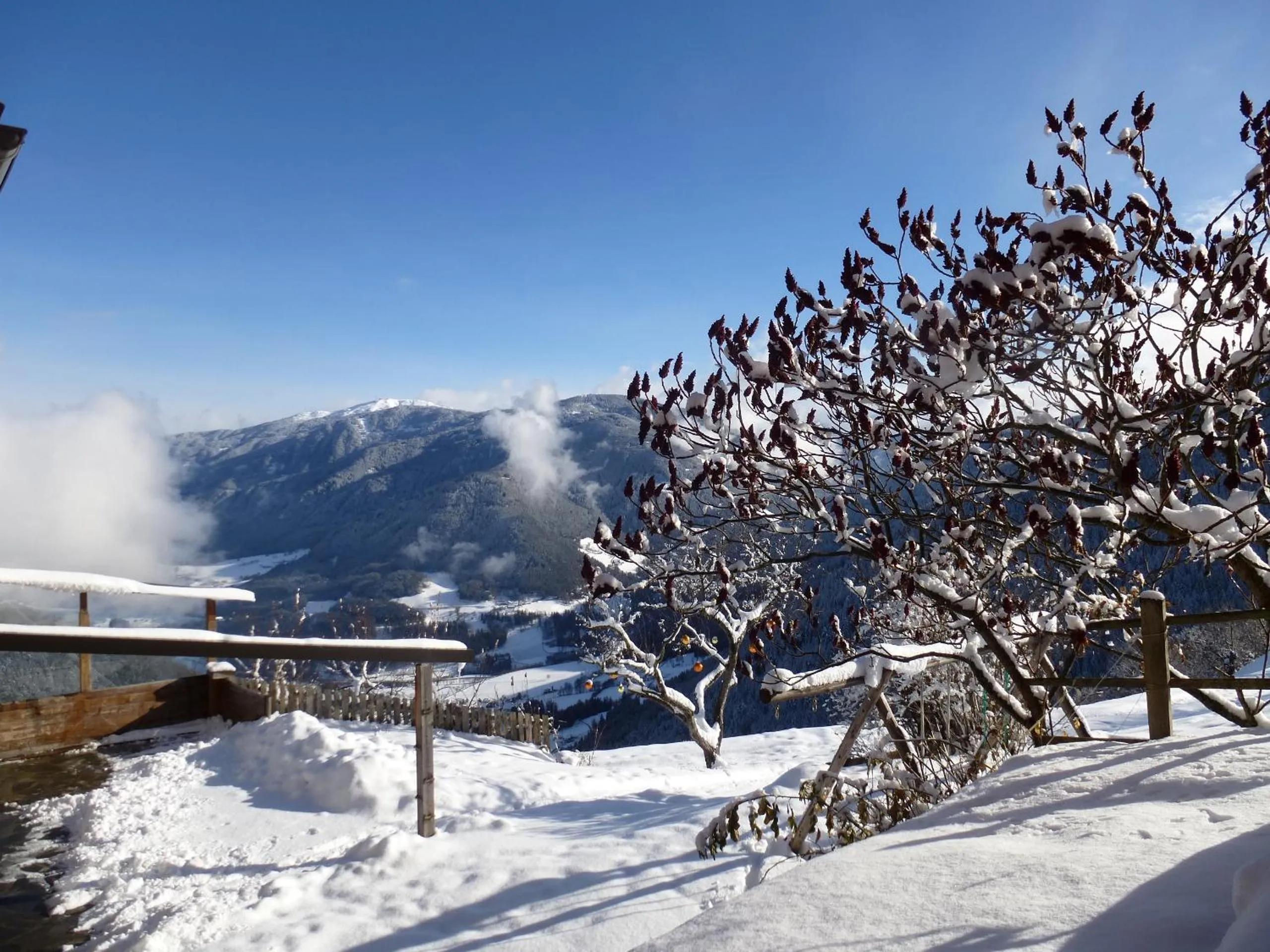 Mountain view in Berggasthof Häusler