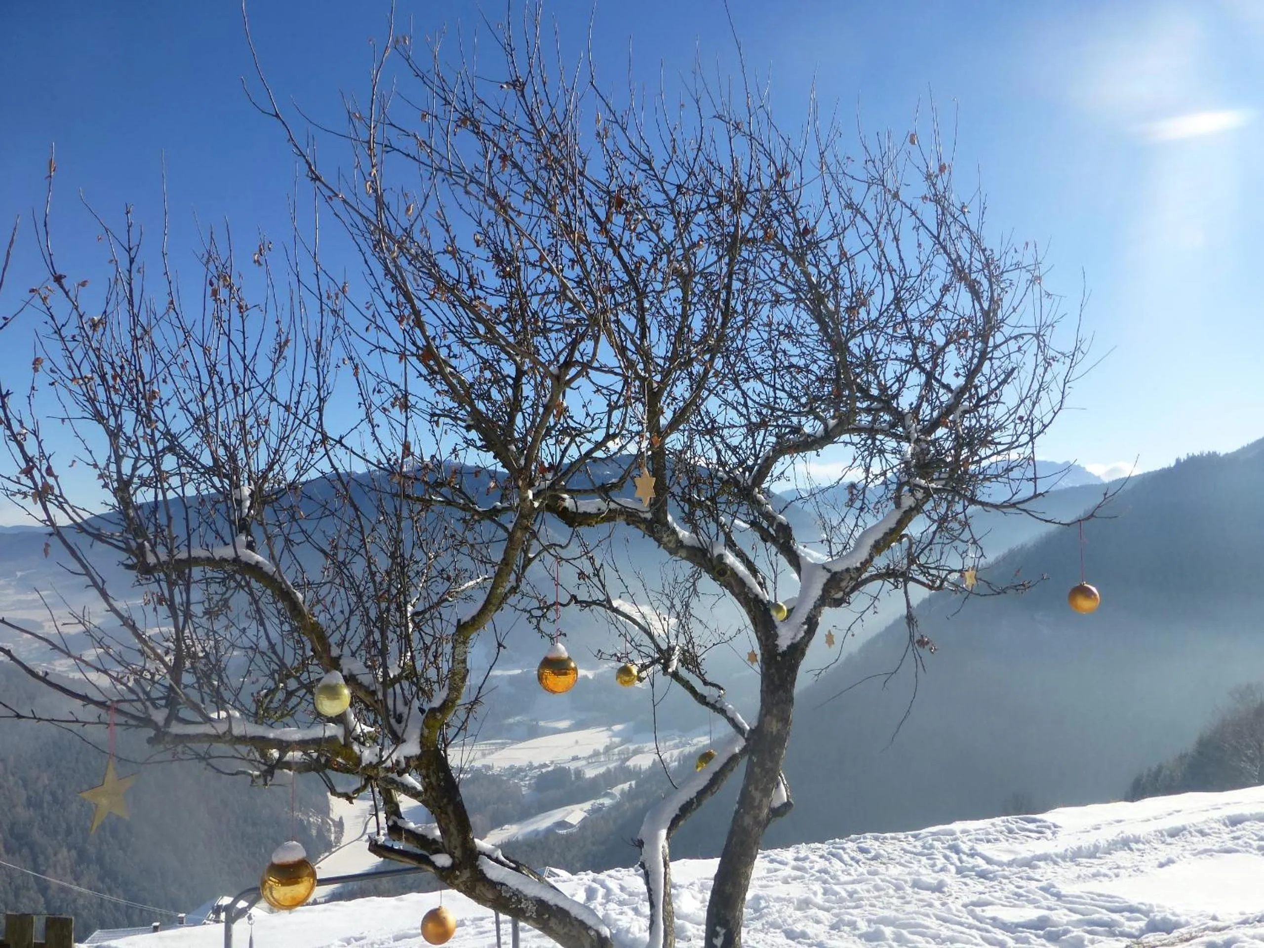 View (from property/room) in Berggasthof Häusler