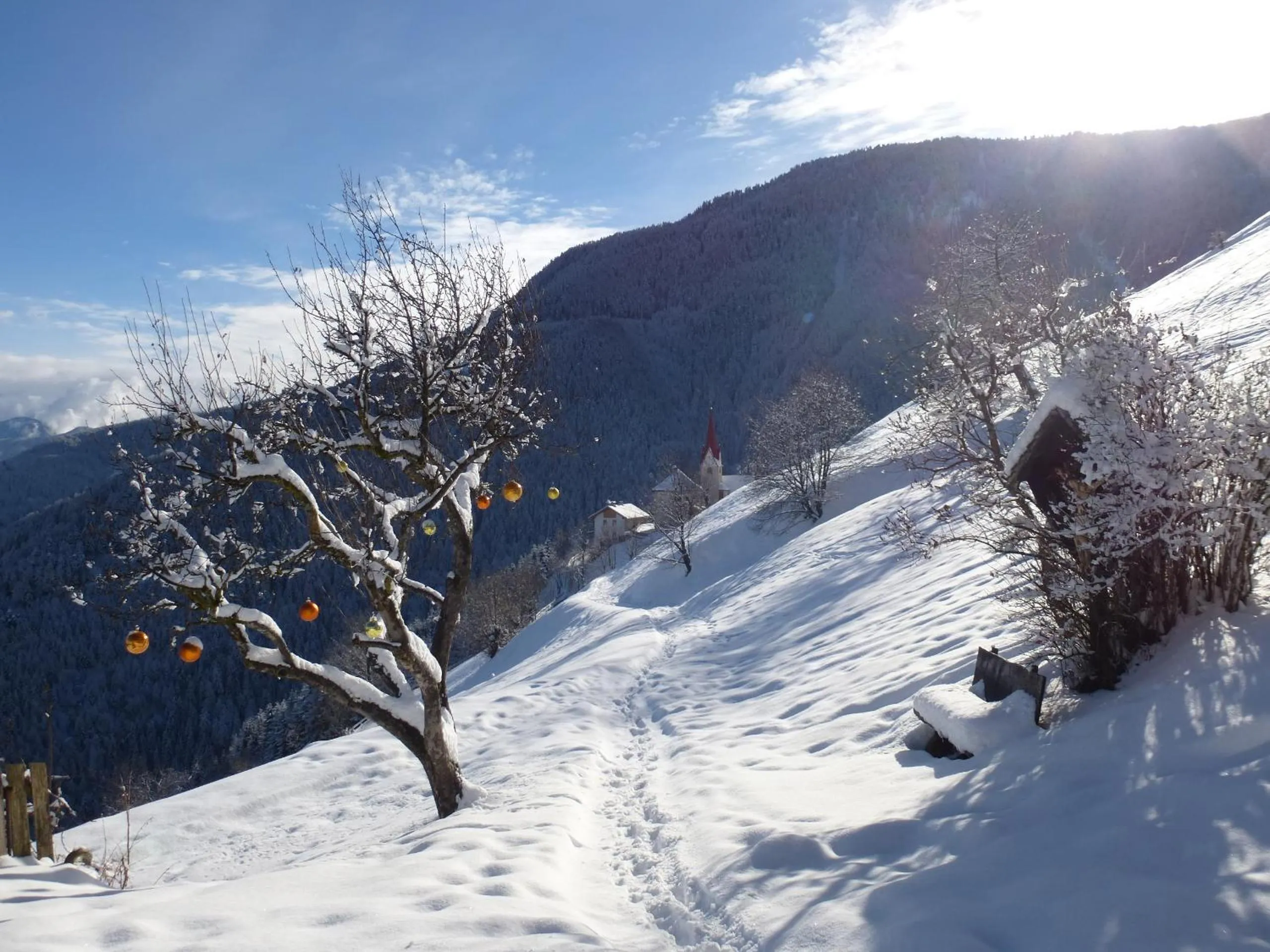 View (from property/room) in Berggasthof Häusler