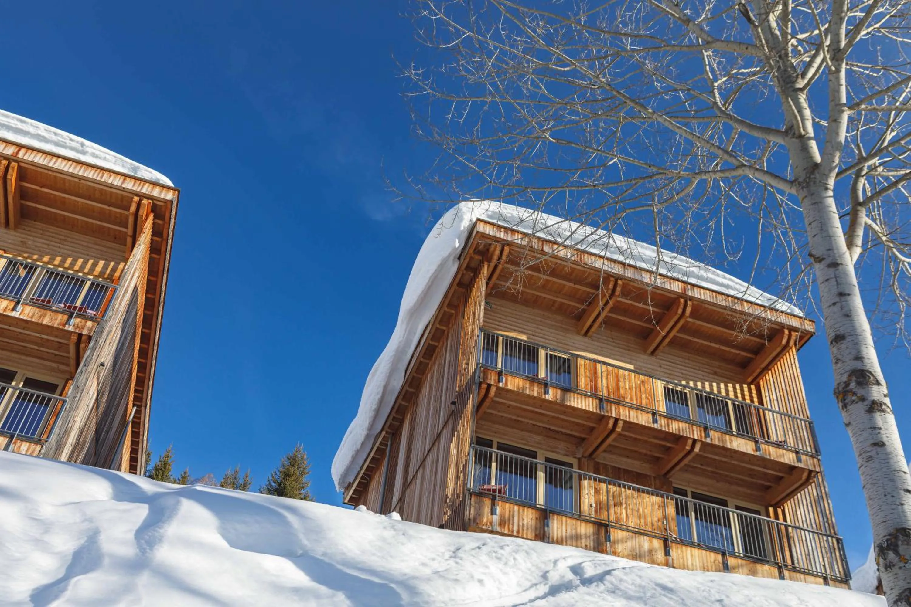 L'Aiguille Grive Chalets Hotel