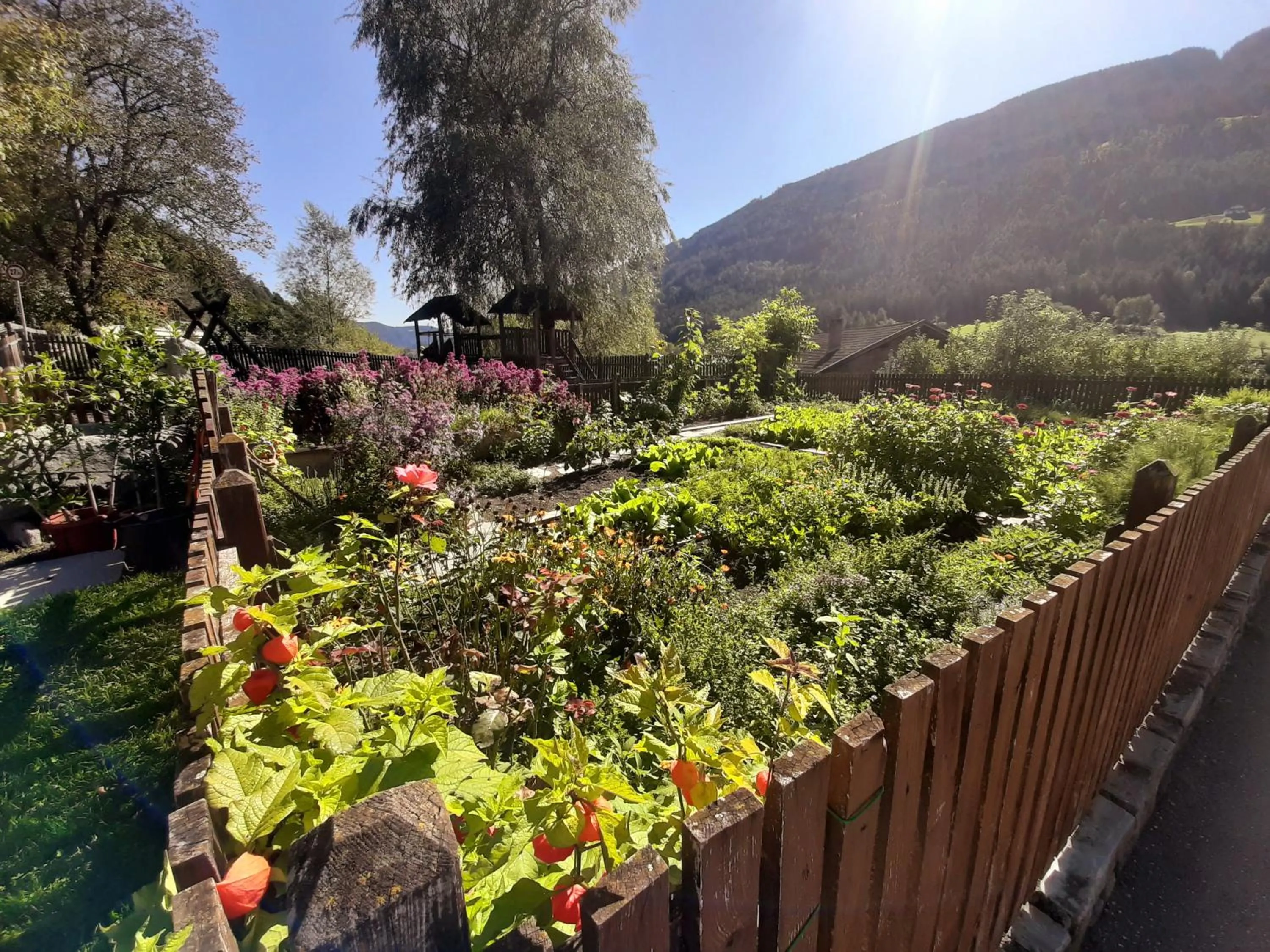 Garden in Residence Obermoarhof - Family Apartments with Pool & Playground