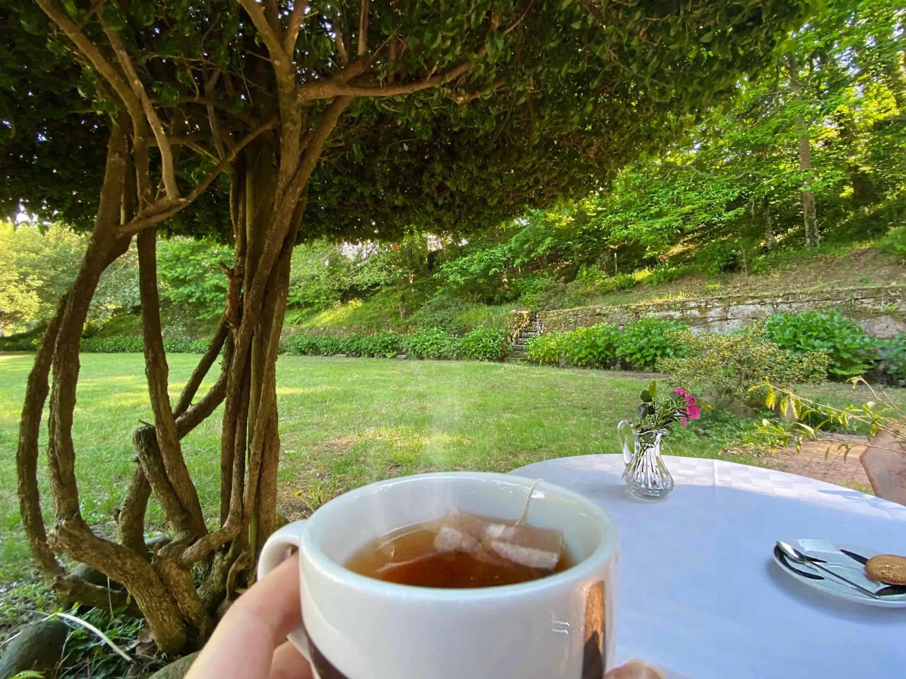 Garden view in Hotel EntreRobles