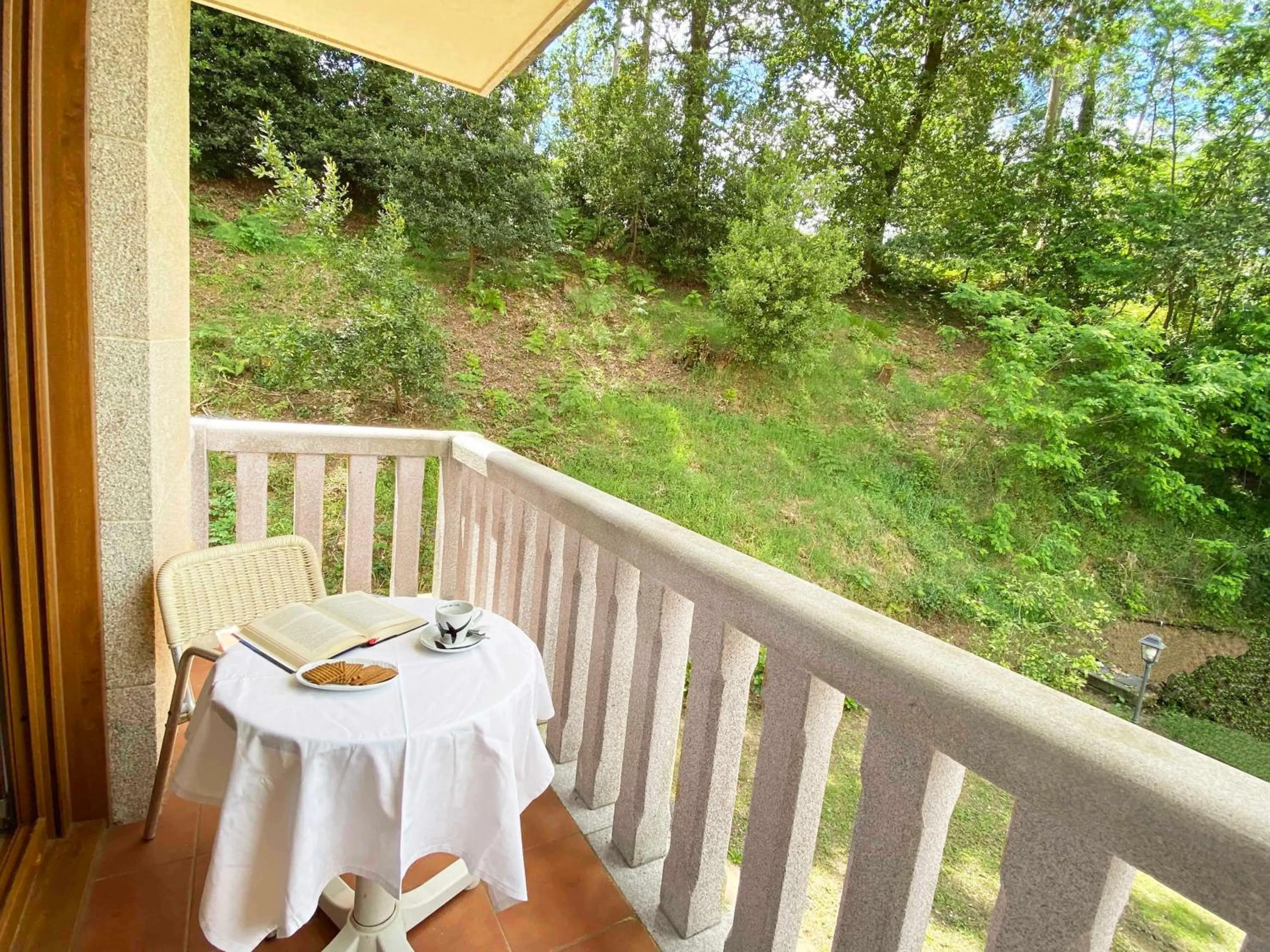 Balcony/Terrace in Hotel EntreRobles