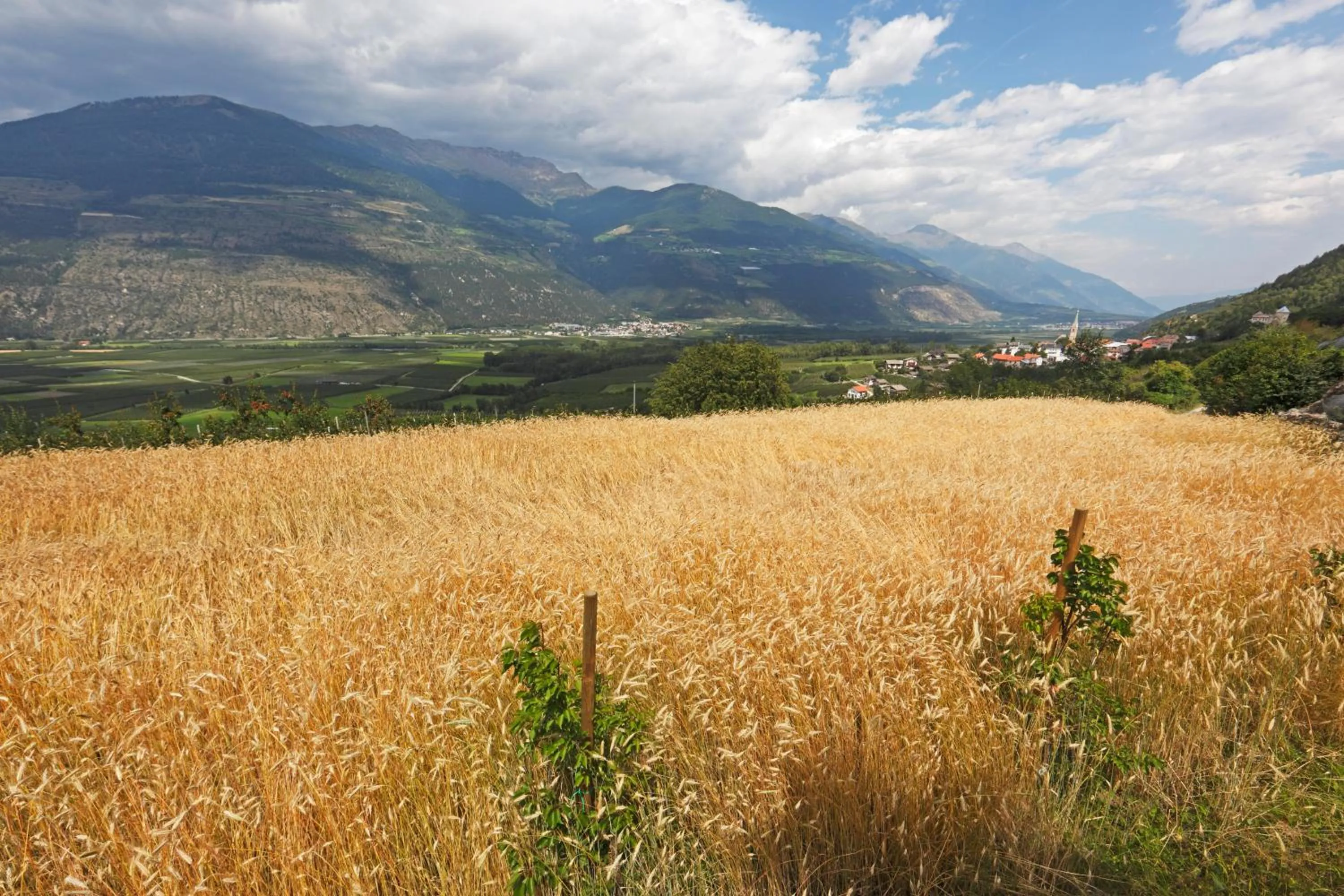 Area and facilities in Pension & Residence Astoria