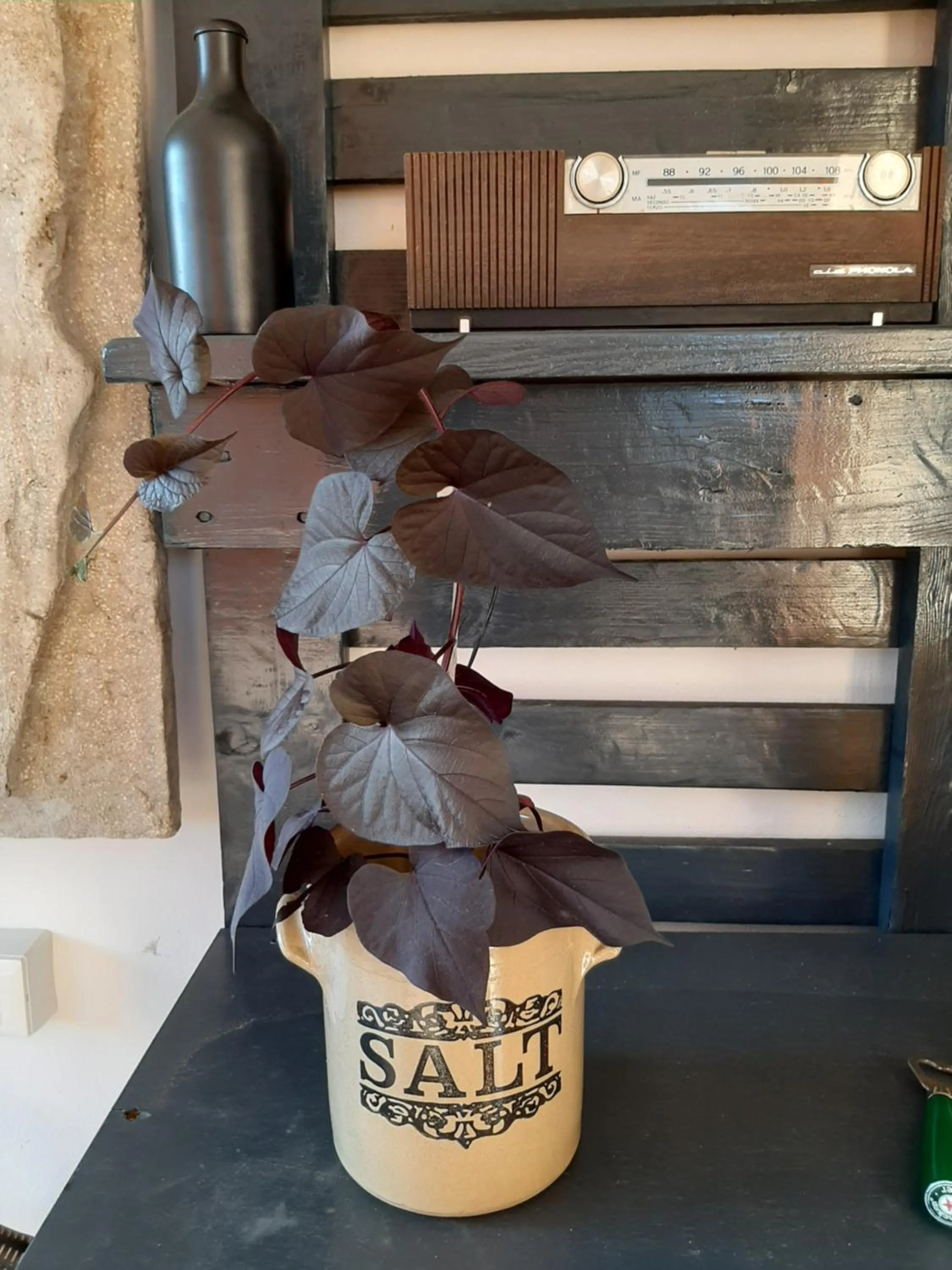 B&B La Fenice sul Lago