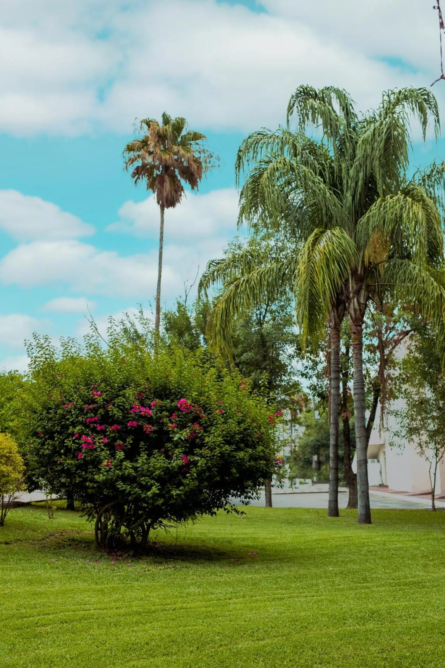 Gran Hotel Las Fuentes