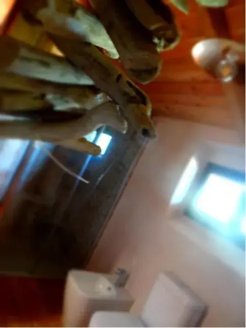 Double Room with Private Bathroom in tenuta i musi lunghi Double Room with Private Bathroom in tenuta i musi lunghi