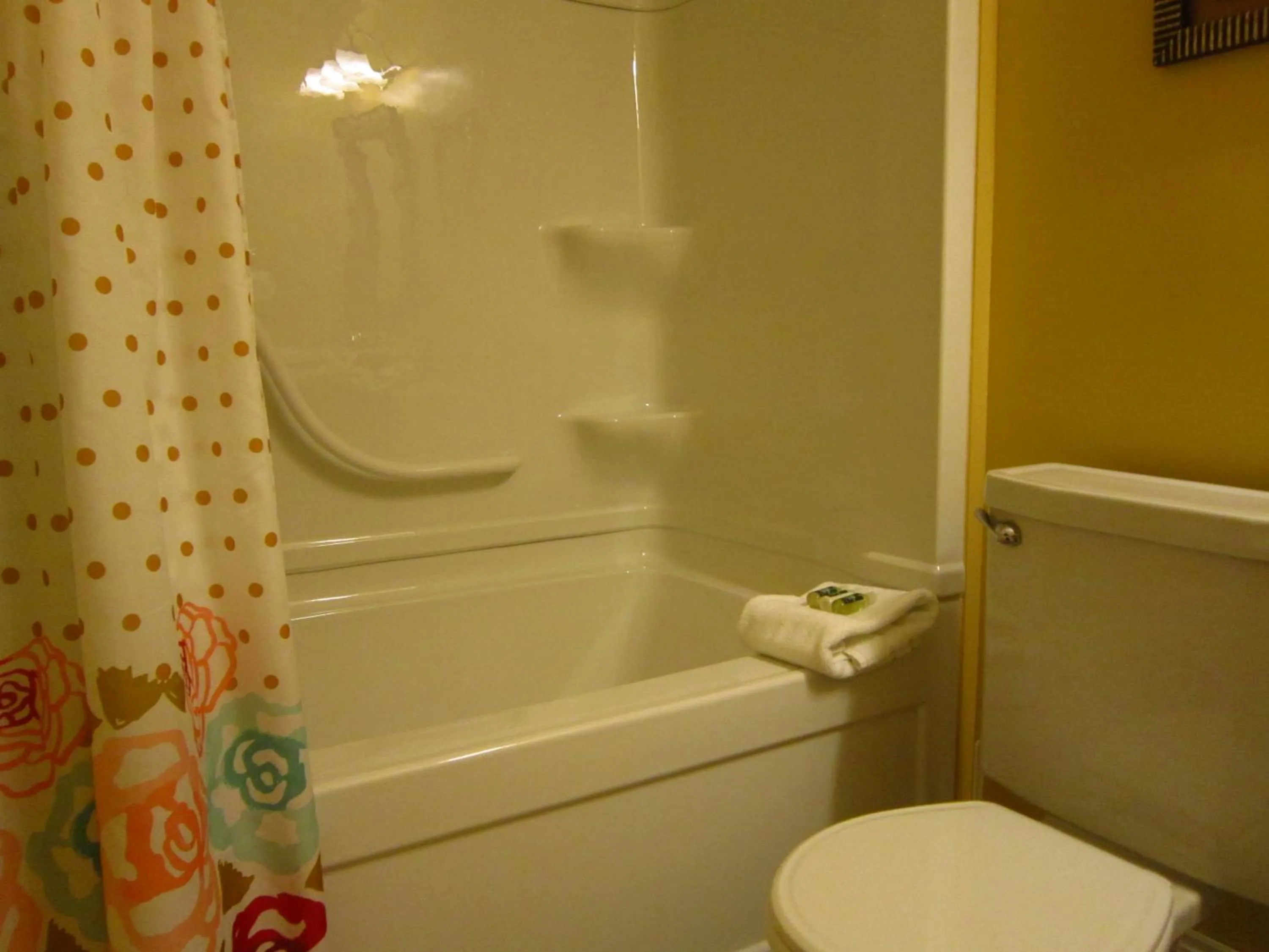 Bathroom in Chipman Hill Suites - Sydney Street