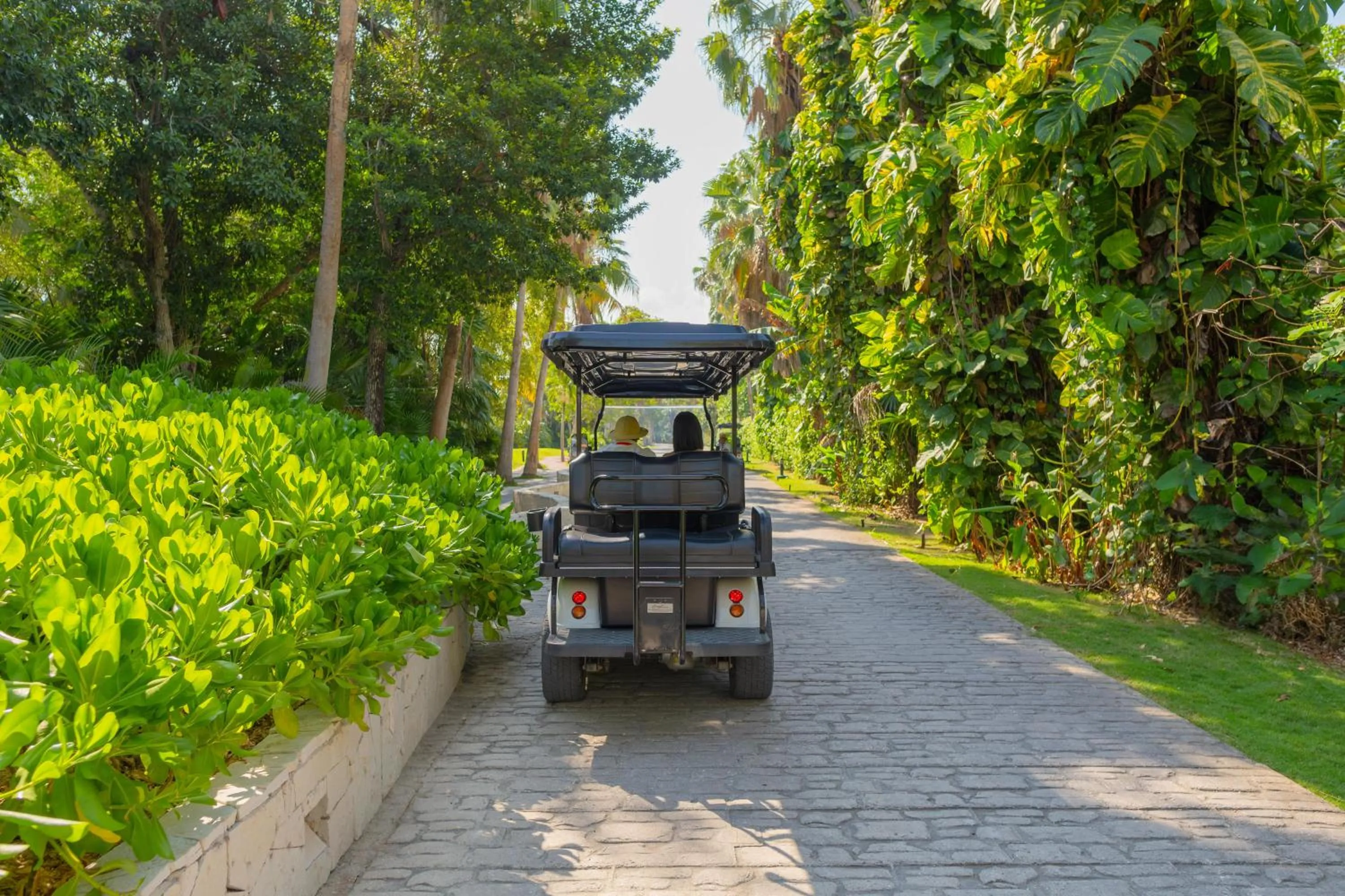 Property building in Grand Oasis Tulum Riviera - All Inclusive