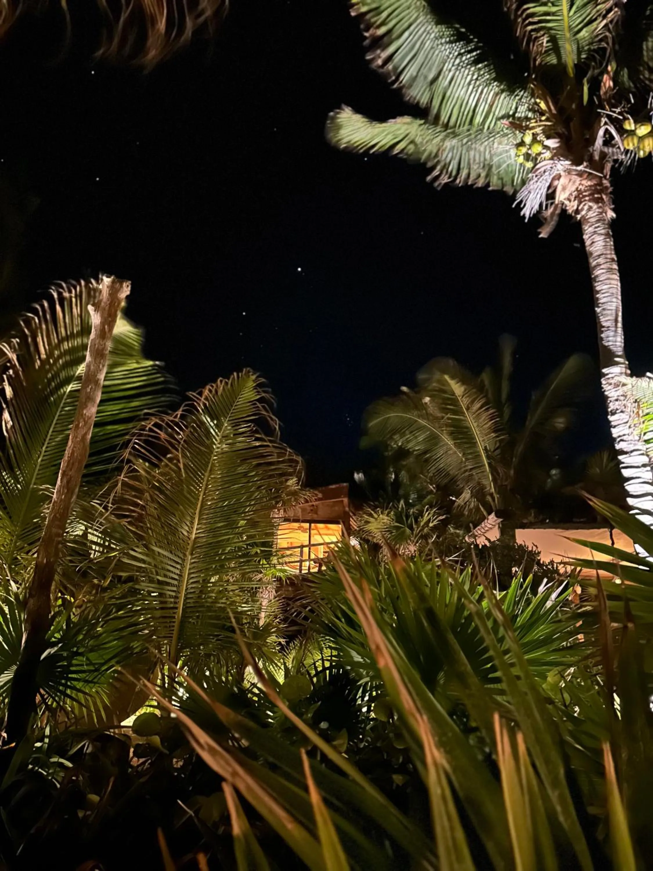 Night in Sueños Tulum
