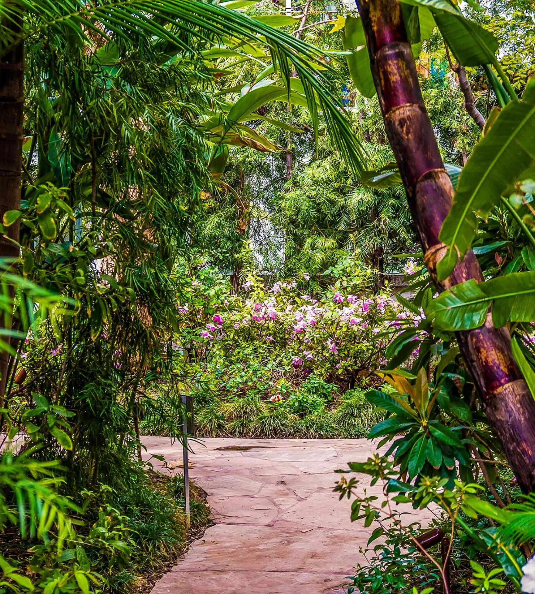 Garden in Sunset Marquis Hotel