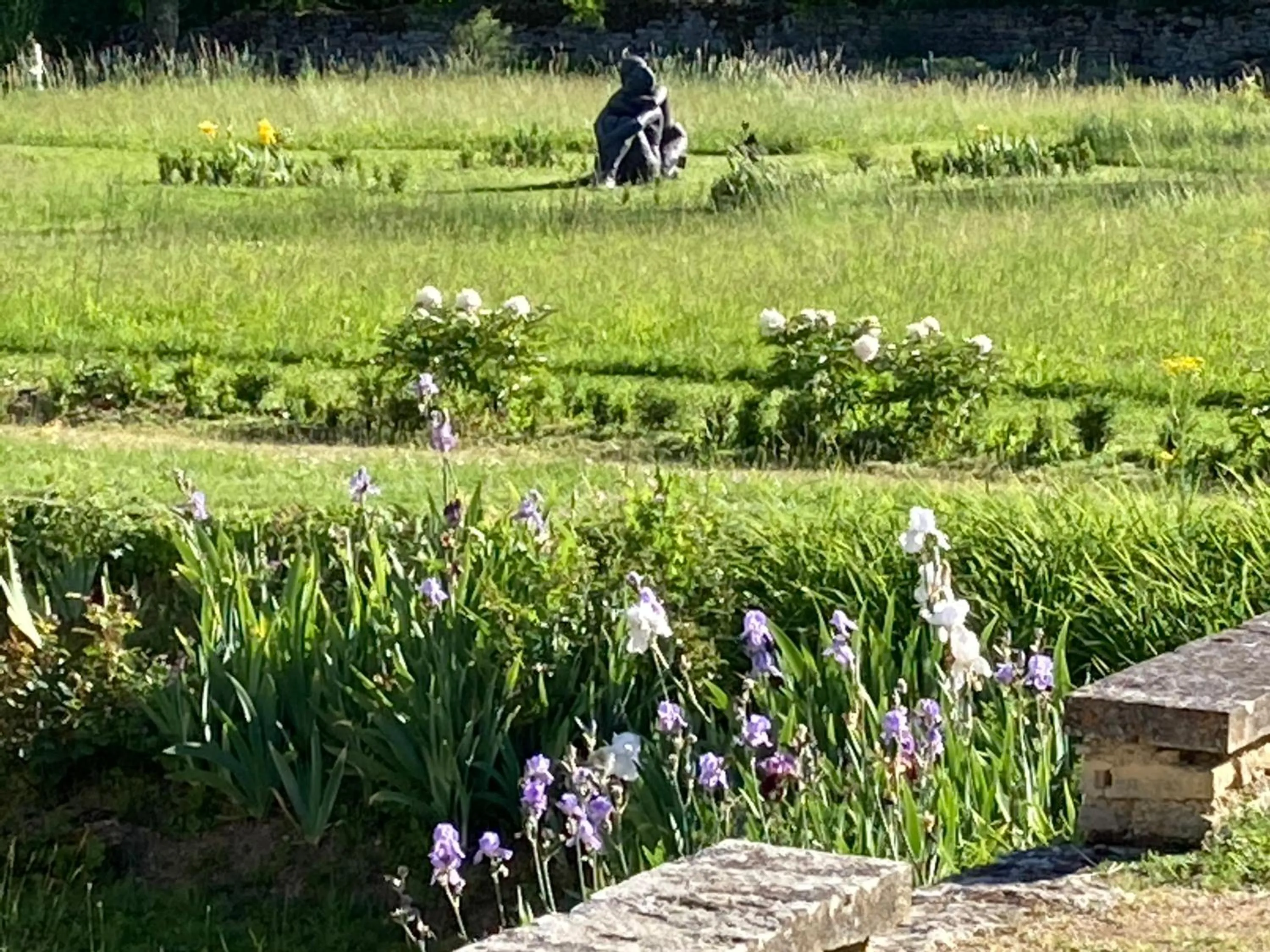 Natural landscape in La Buffonnerie