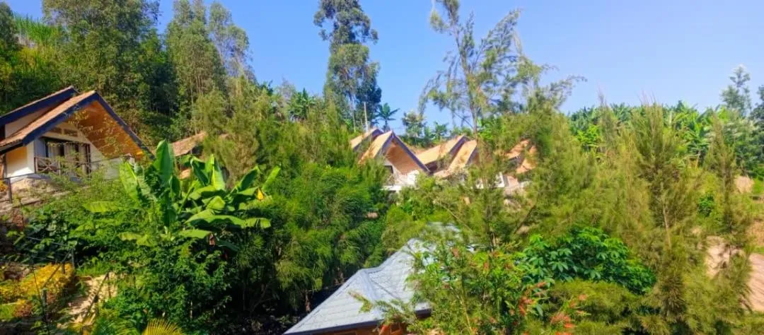 My Hill Eco Lodge