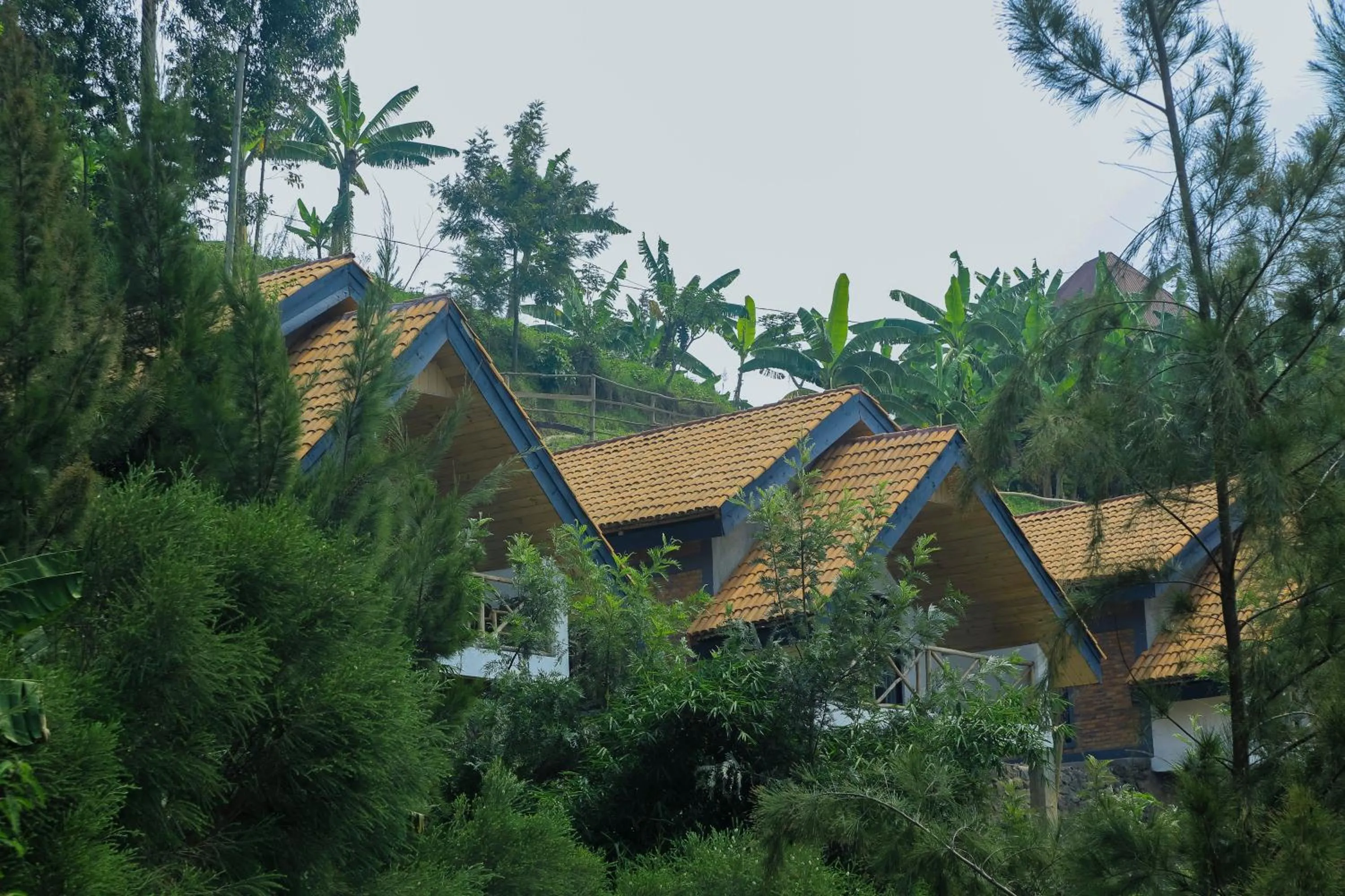My Hill Eco Lodge